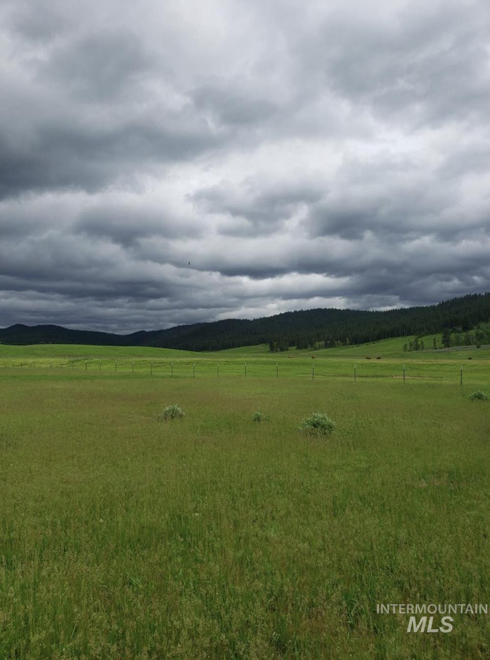 Tbd Lot 8 Empty Saddle Way Property Photo 28