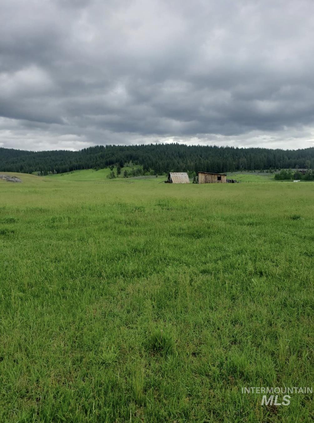 Tbd Lot 8 Empty Saddle Way Property Photo 29