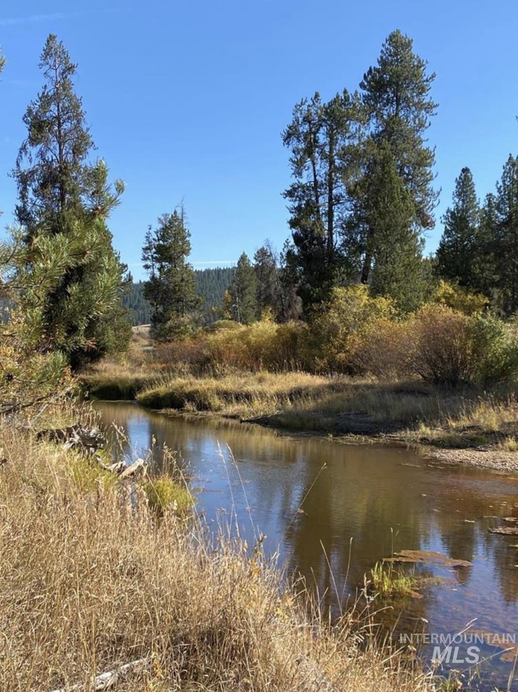 Tbd Lot 11 Gold Fork Road Property Photo 3