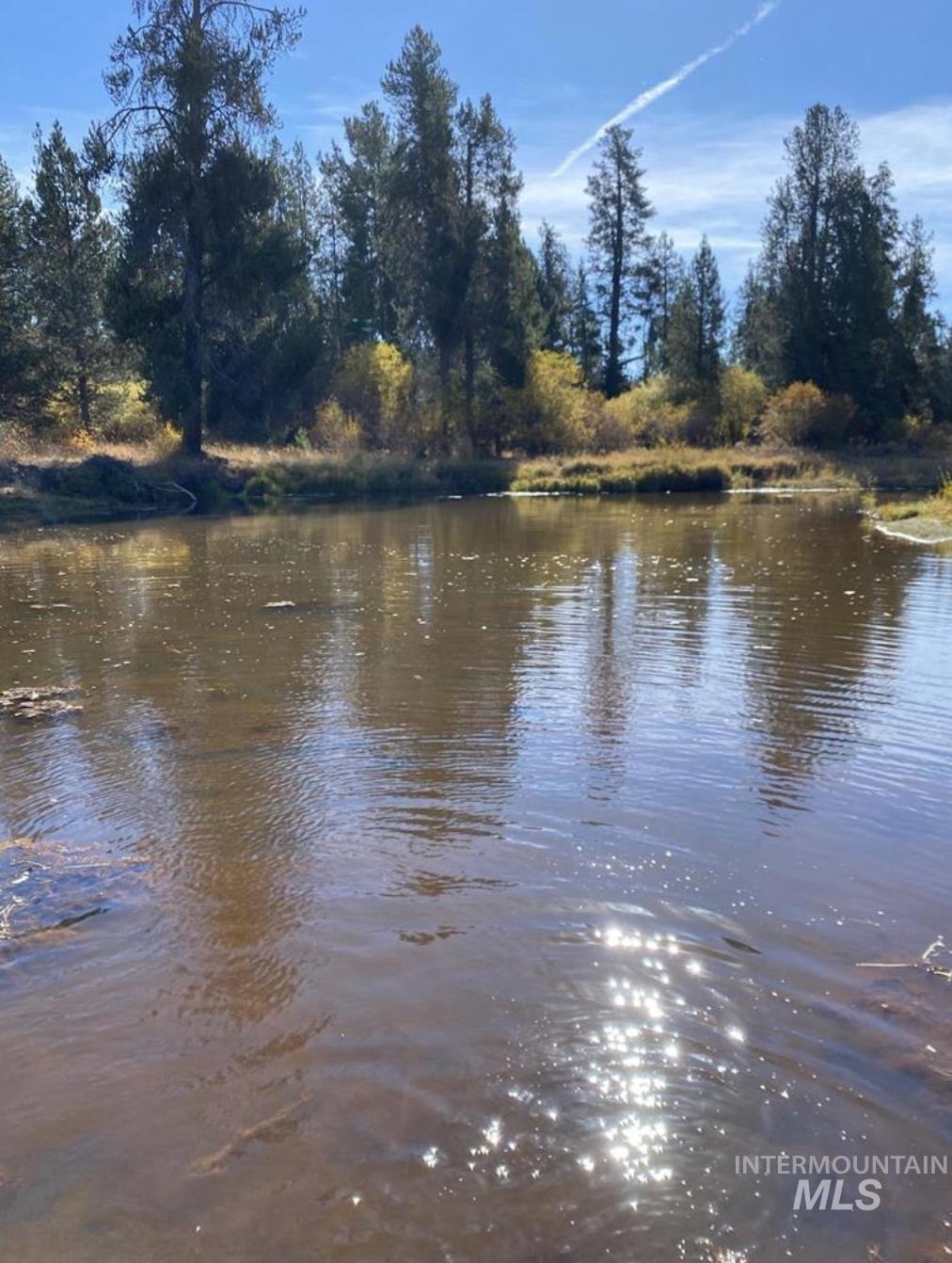 Tbd Lot 11 Gold Fork Road Property Photo 5
