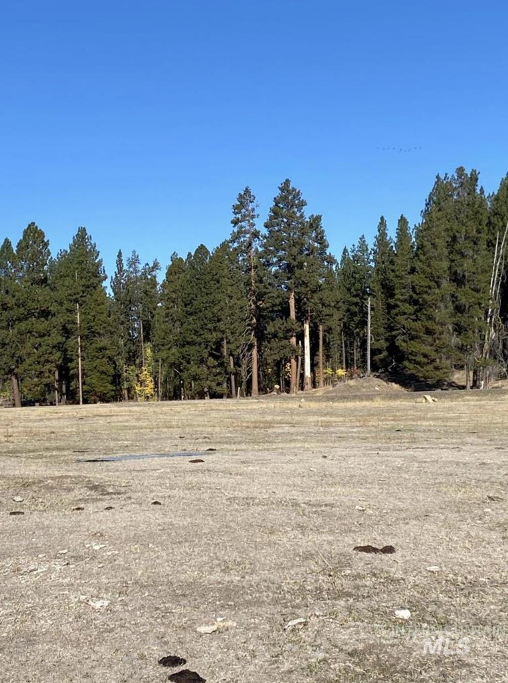 Tbd Lot 11 Gold Fork Road Property Photo 8
