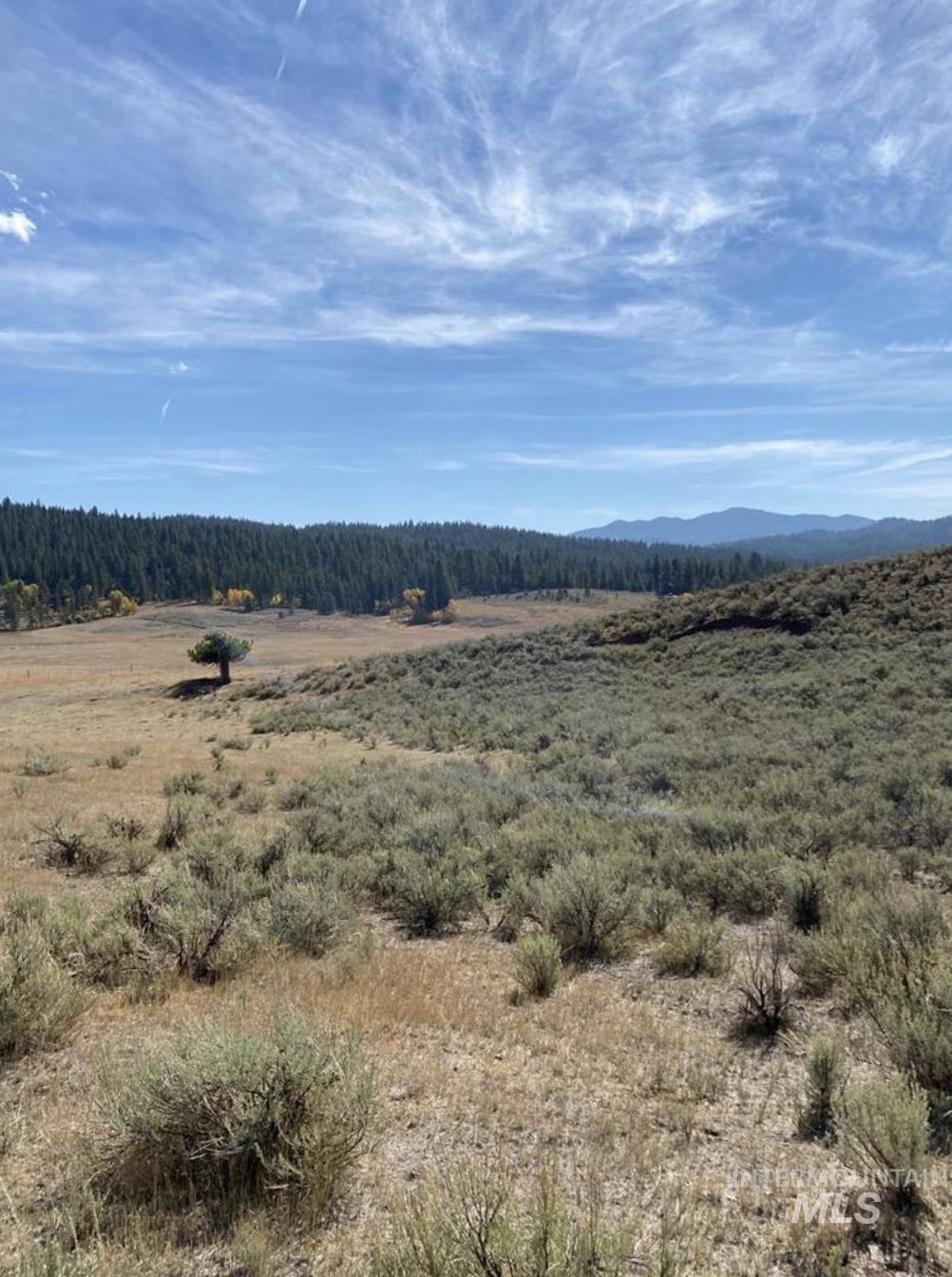Tbd Lot 11 Gold Fork Road Property Photo 13