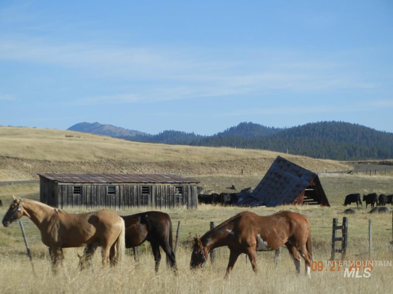 Tbd Lot 11 Gold Fork Road Property Photo 16