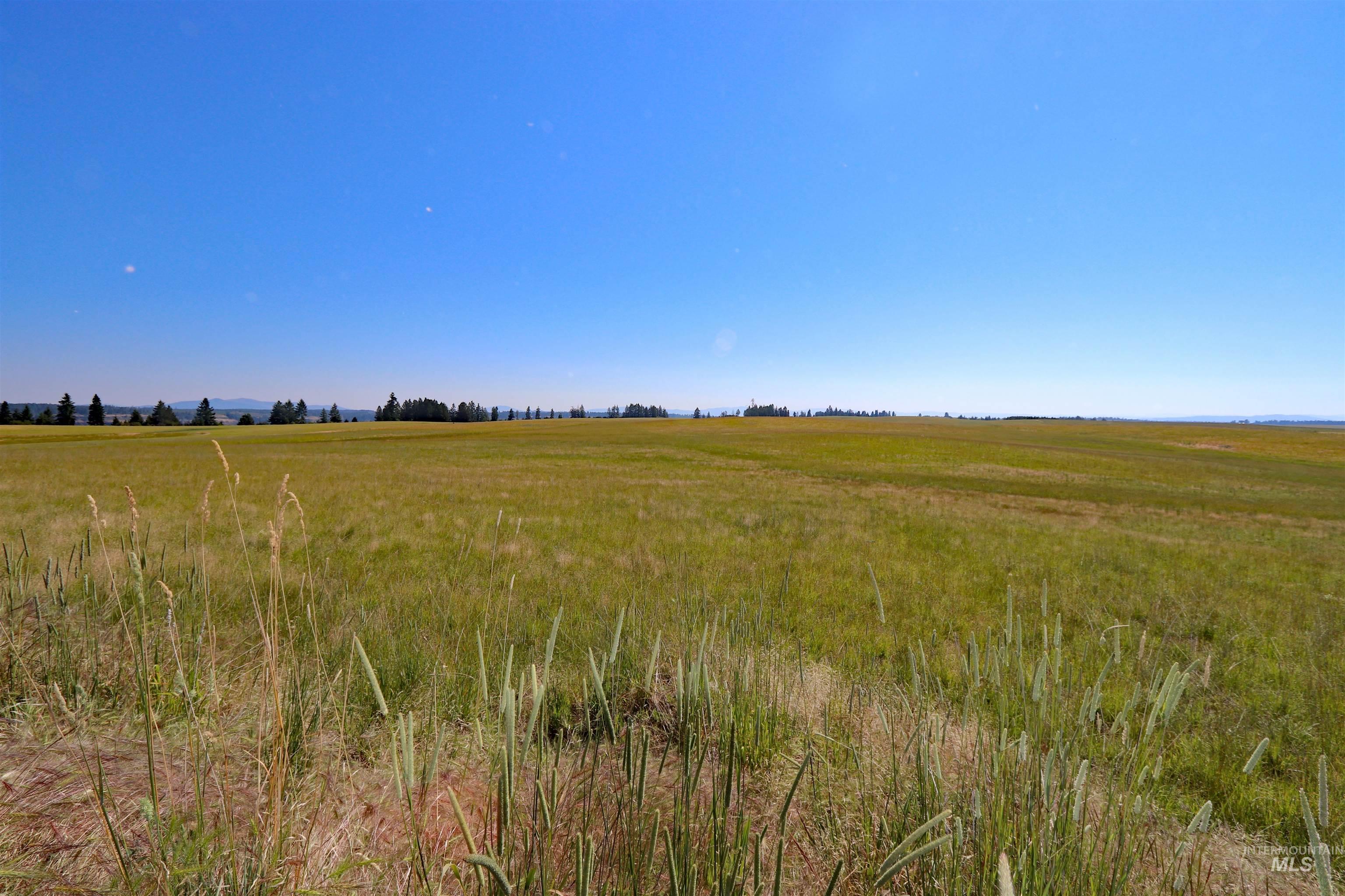 Tbd Stuart Road, Parcel B Property Photo 18