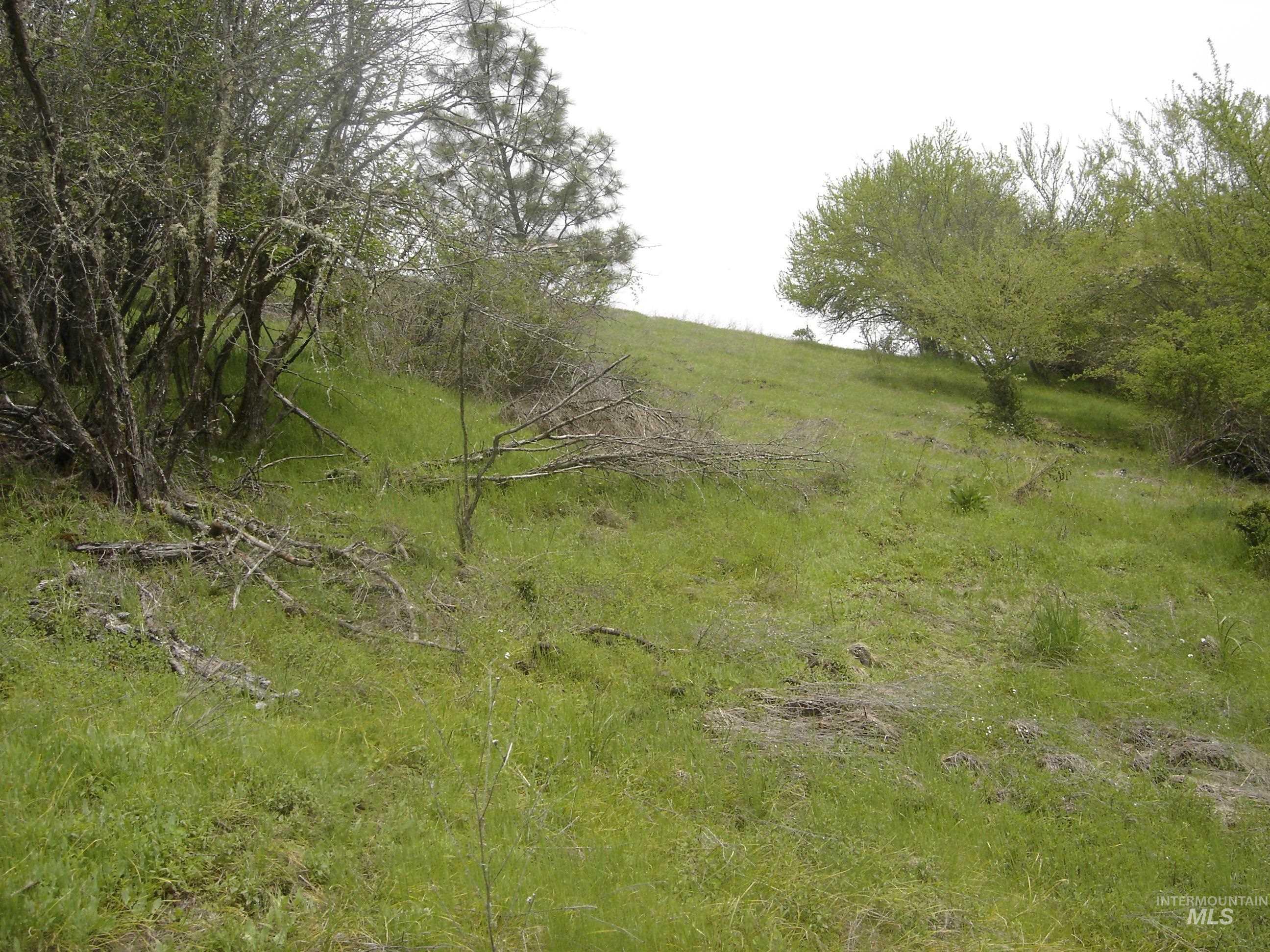1068 Clearcreek Road Property Photo 3