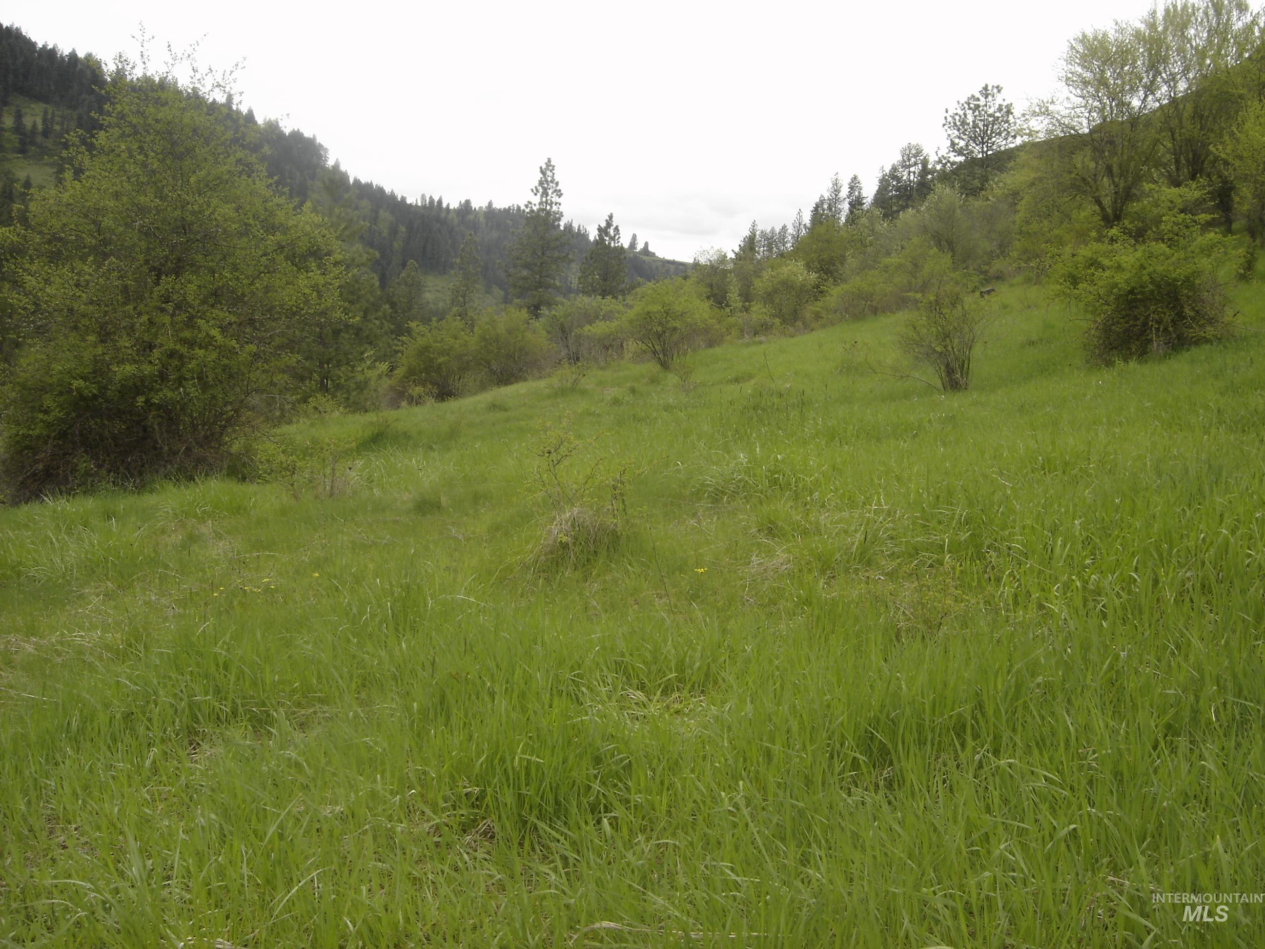 1068 Clearcreek Road Property Photo 6
