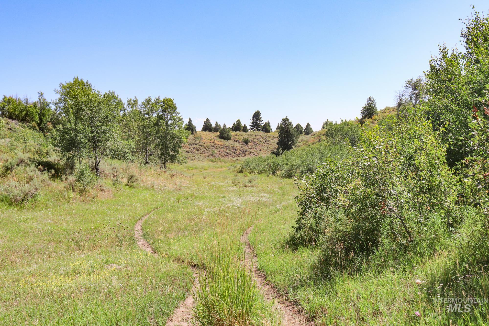 1780 Sadorus Hill Rd. Property Photo 8