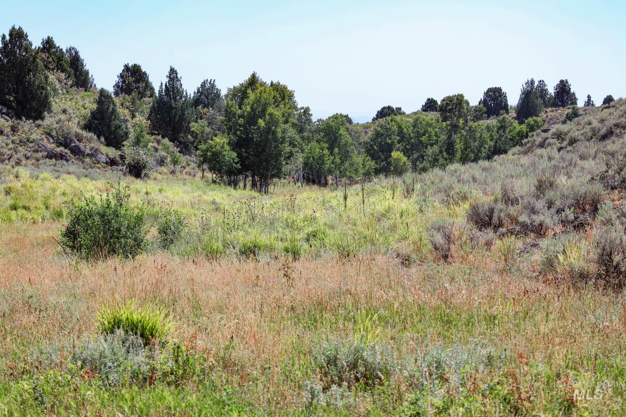1780 Sadorus Hill Rd. Property Photo 12