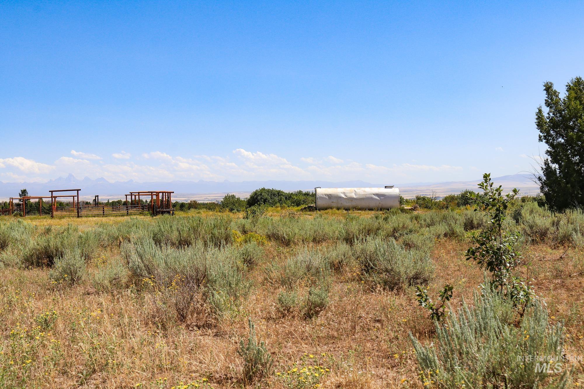 1780 Sadorus Hill Rd. Property Photo 15