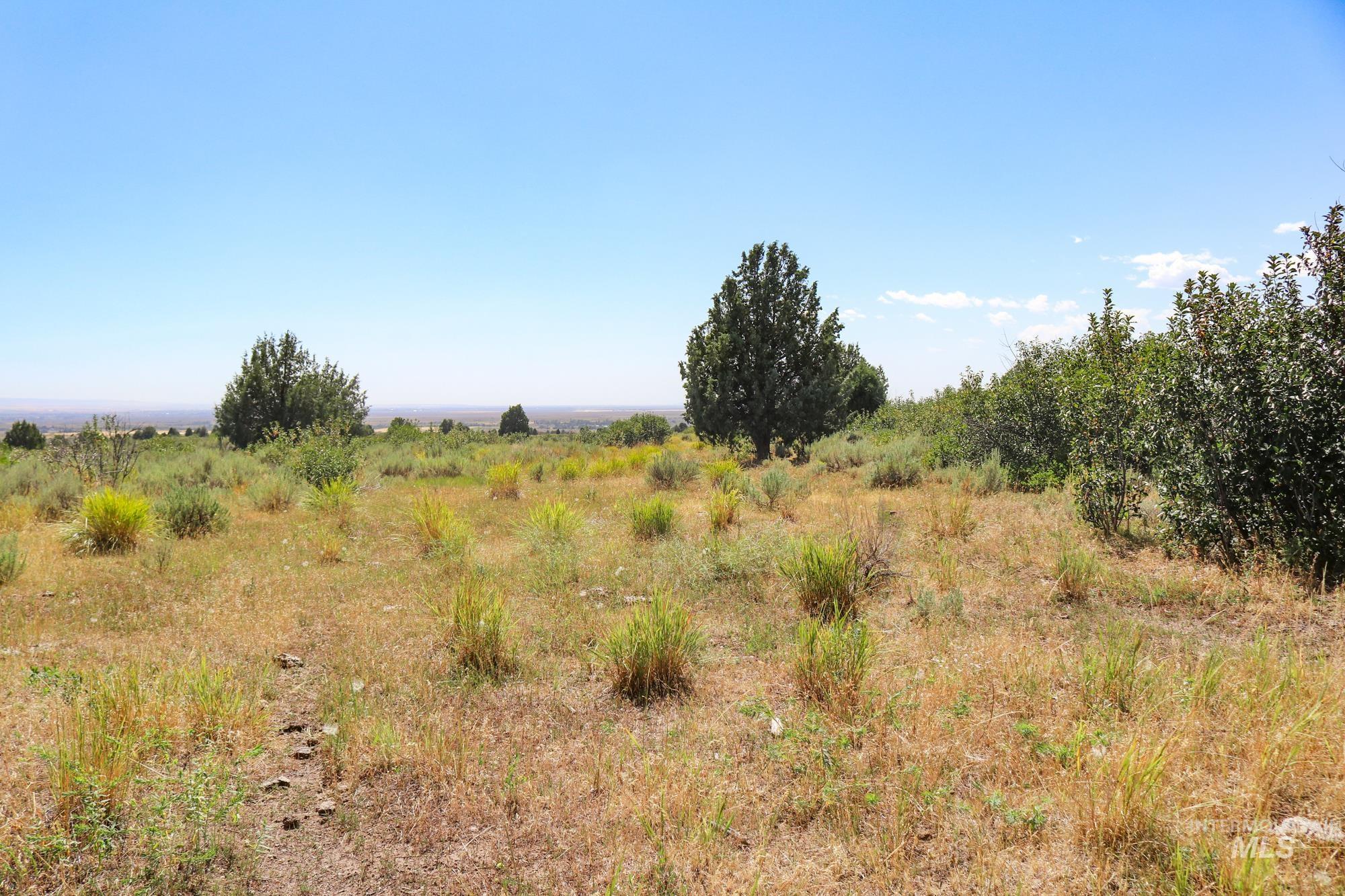 1780 Sadorus Hill Rd. Property Photo 17