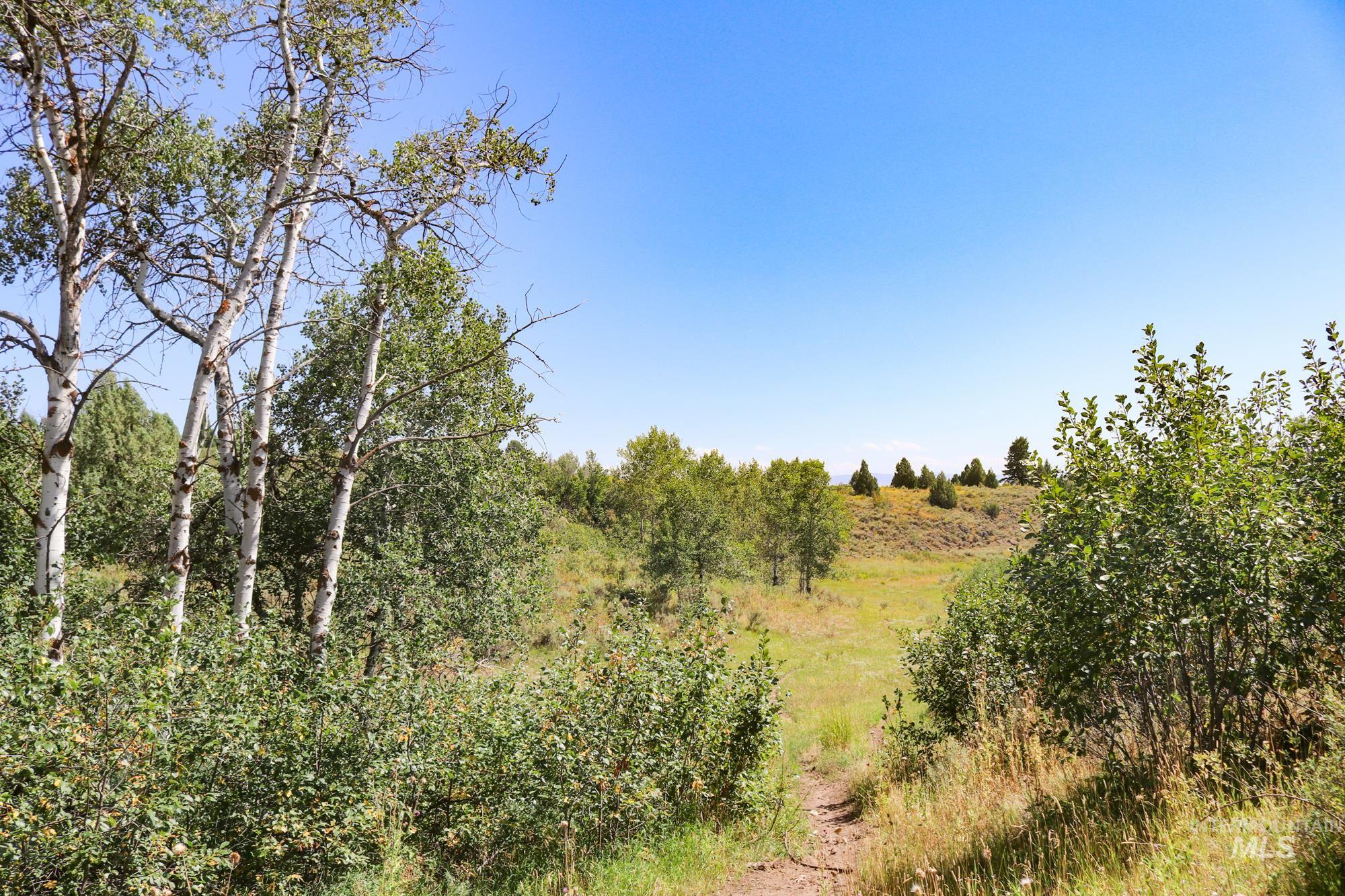 1780 Sadorus Hill Rd. Property Photo 18