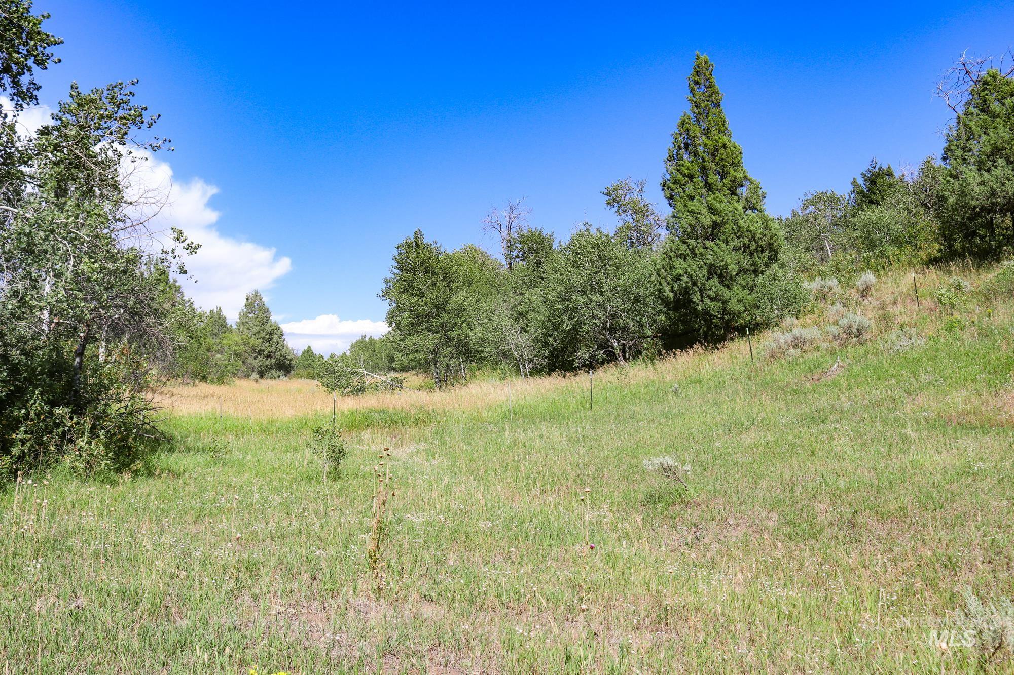 1780 Sadorus Hill Rd. Property Photo 19