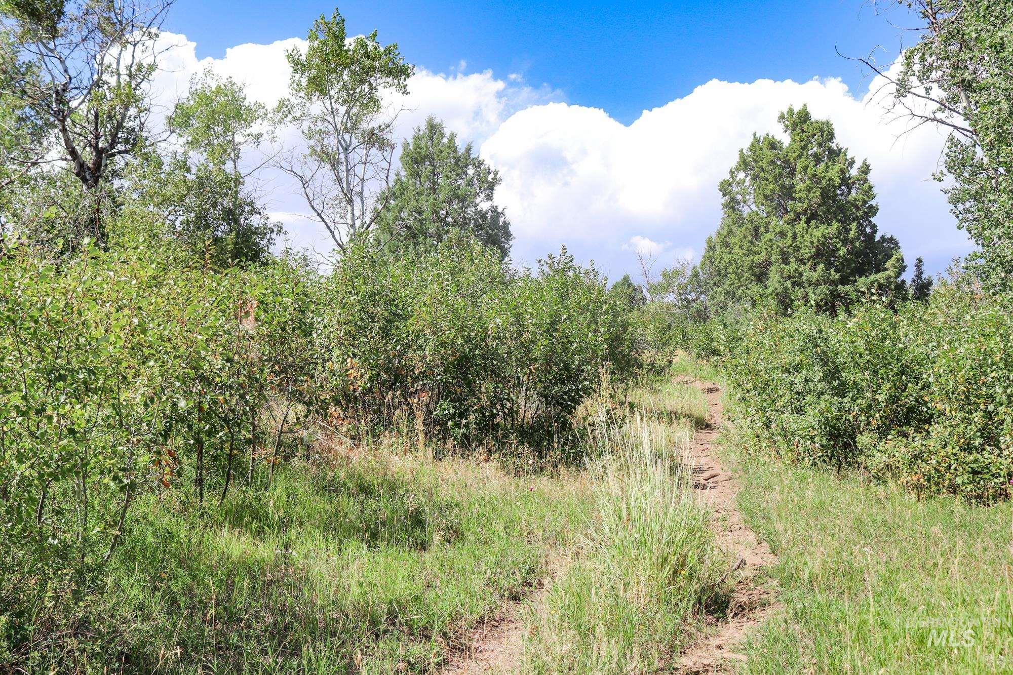 1780 Sadorus Hill Rd. Property Photo 20