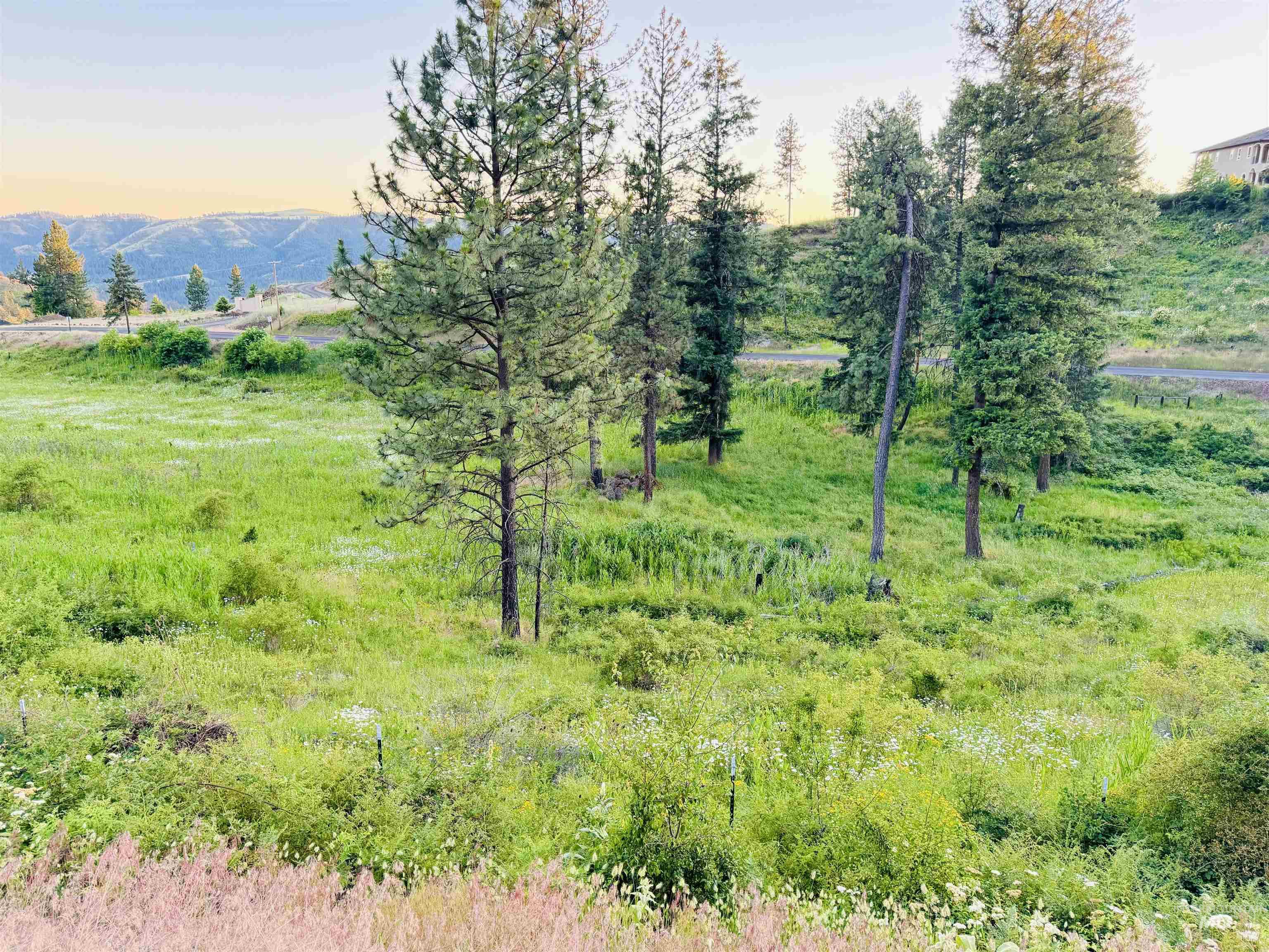 Tbd Lot #2 Beaverslide Rd Property Photo 4