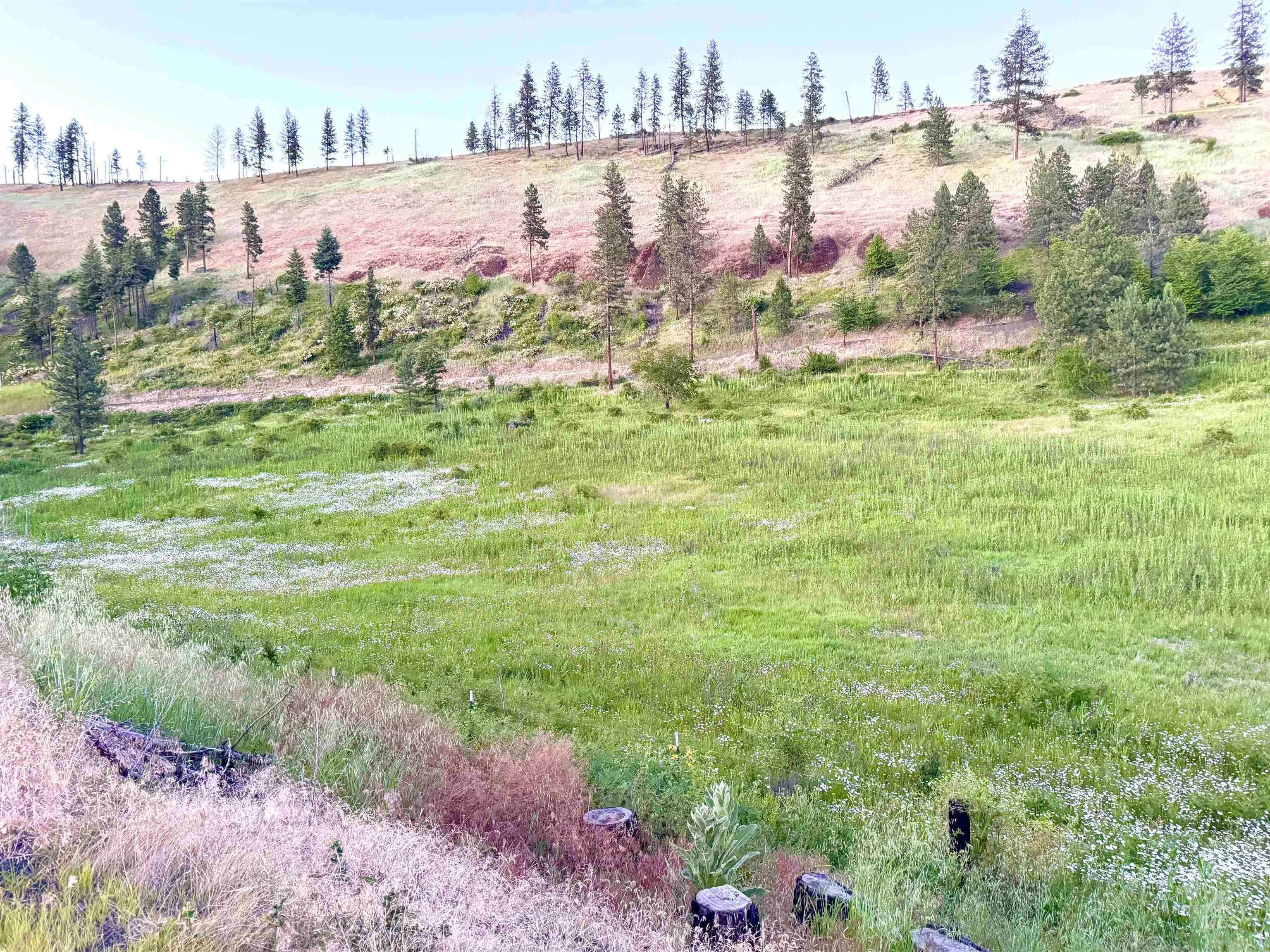 Tbd Lot #2 Beaverslide Rd Property Photo 5
