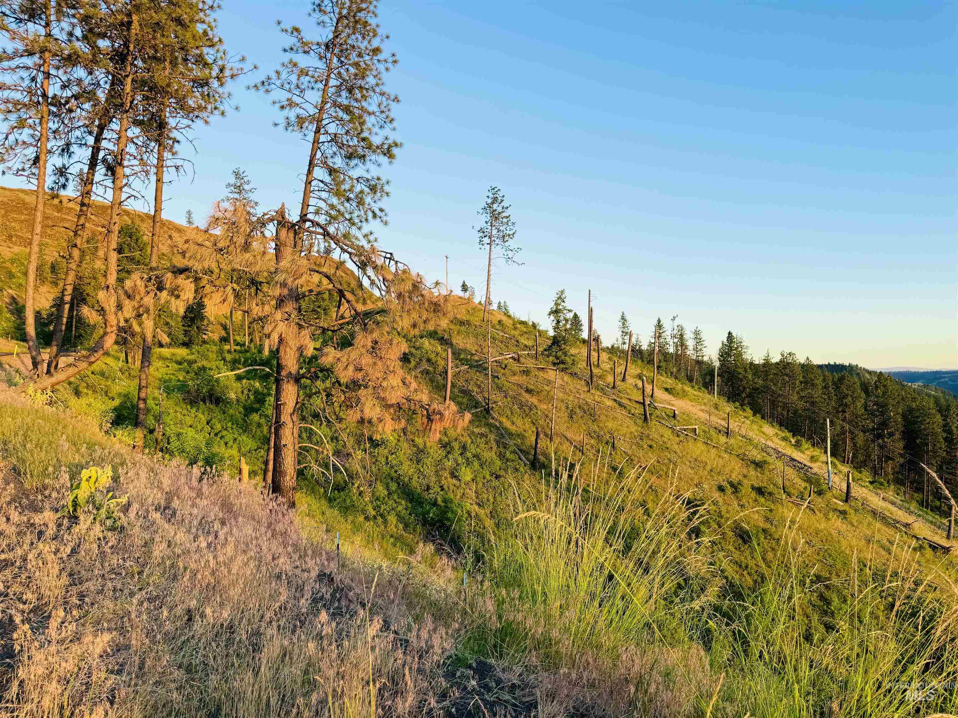 Tbd Lot #2 Beaverslide Rd Property Photo 11