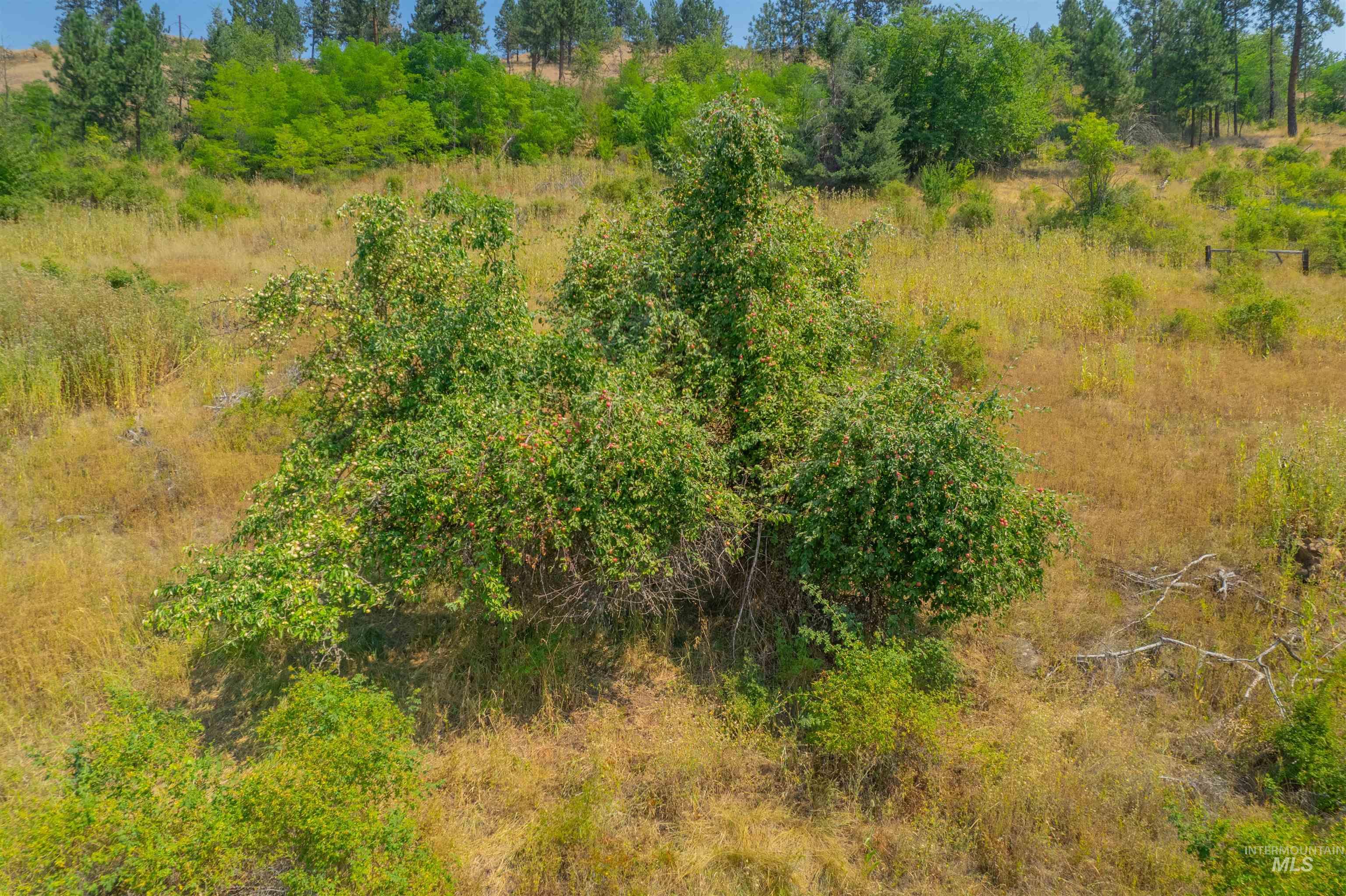 Tbd Lot #2 Beaverslide Rd Property Photo 25