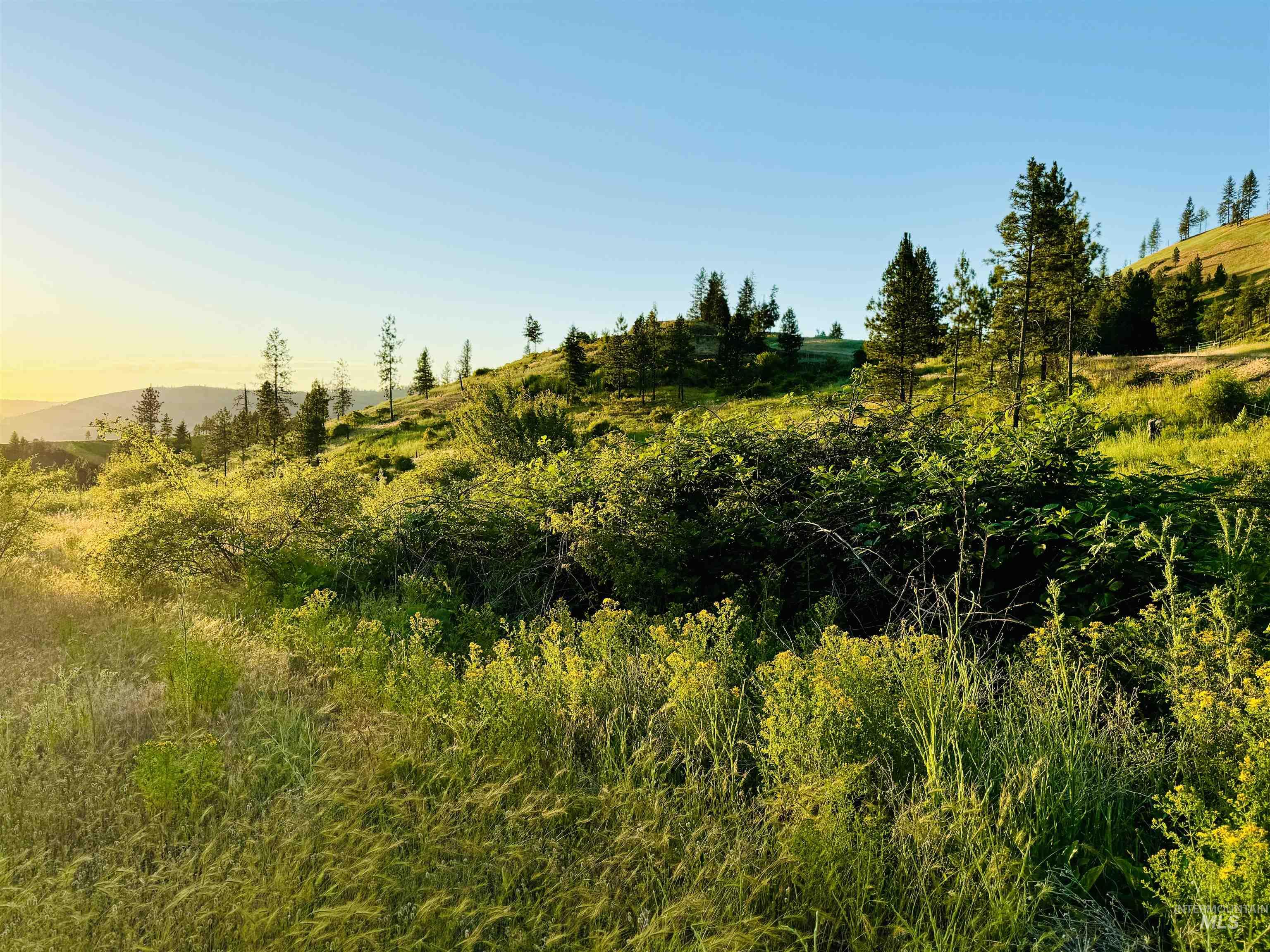 Tbd Lot #3 Beaverslide Rd Property Photo 14