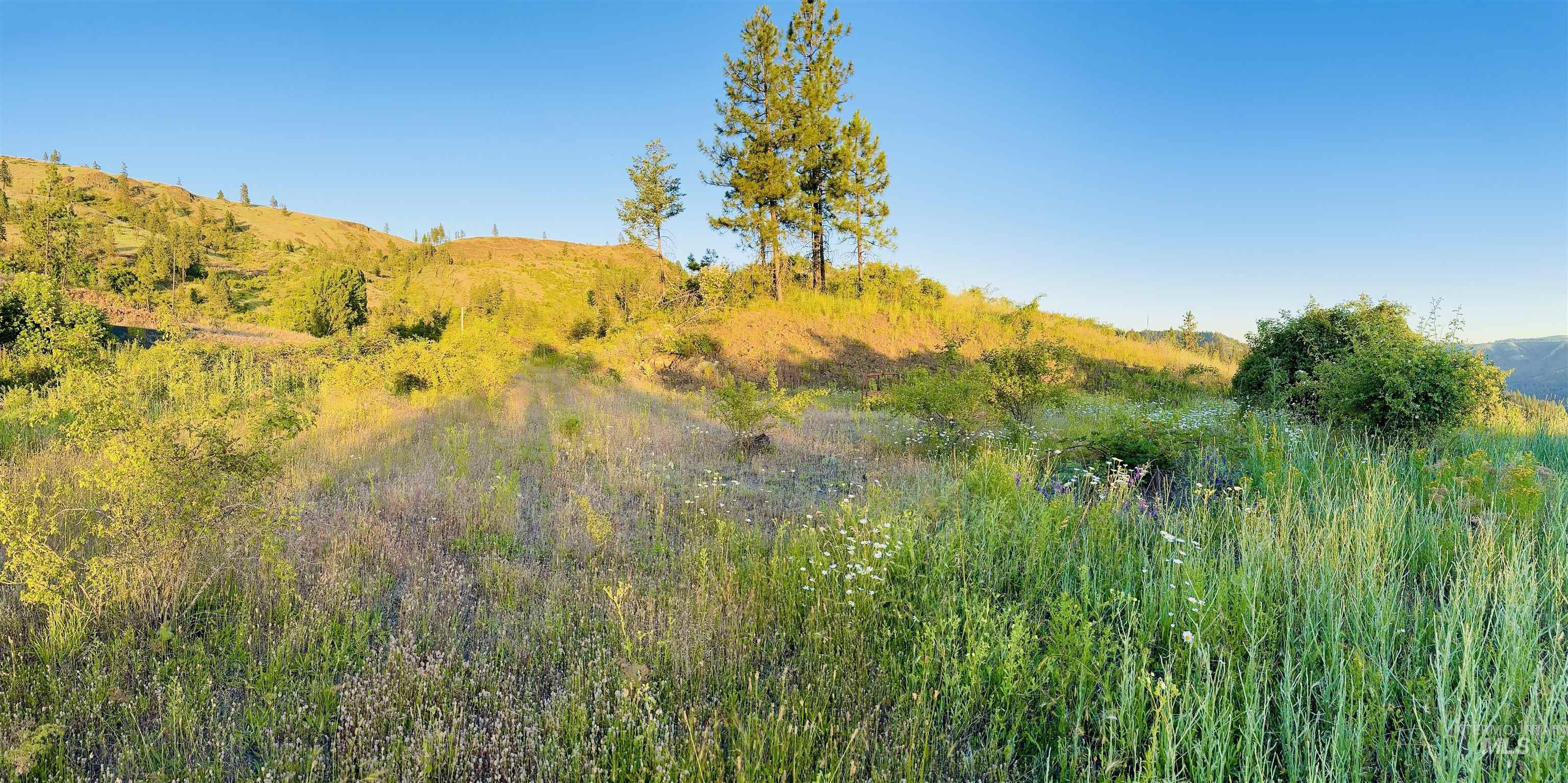 Tbd Lot #3 Beaverslide Rd Property Photo 21