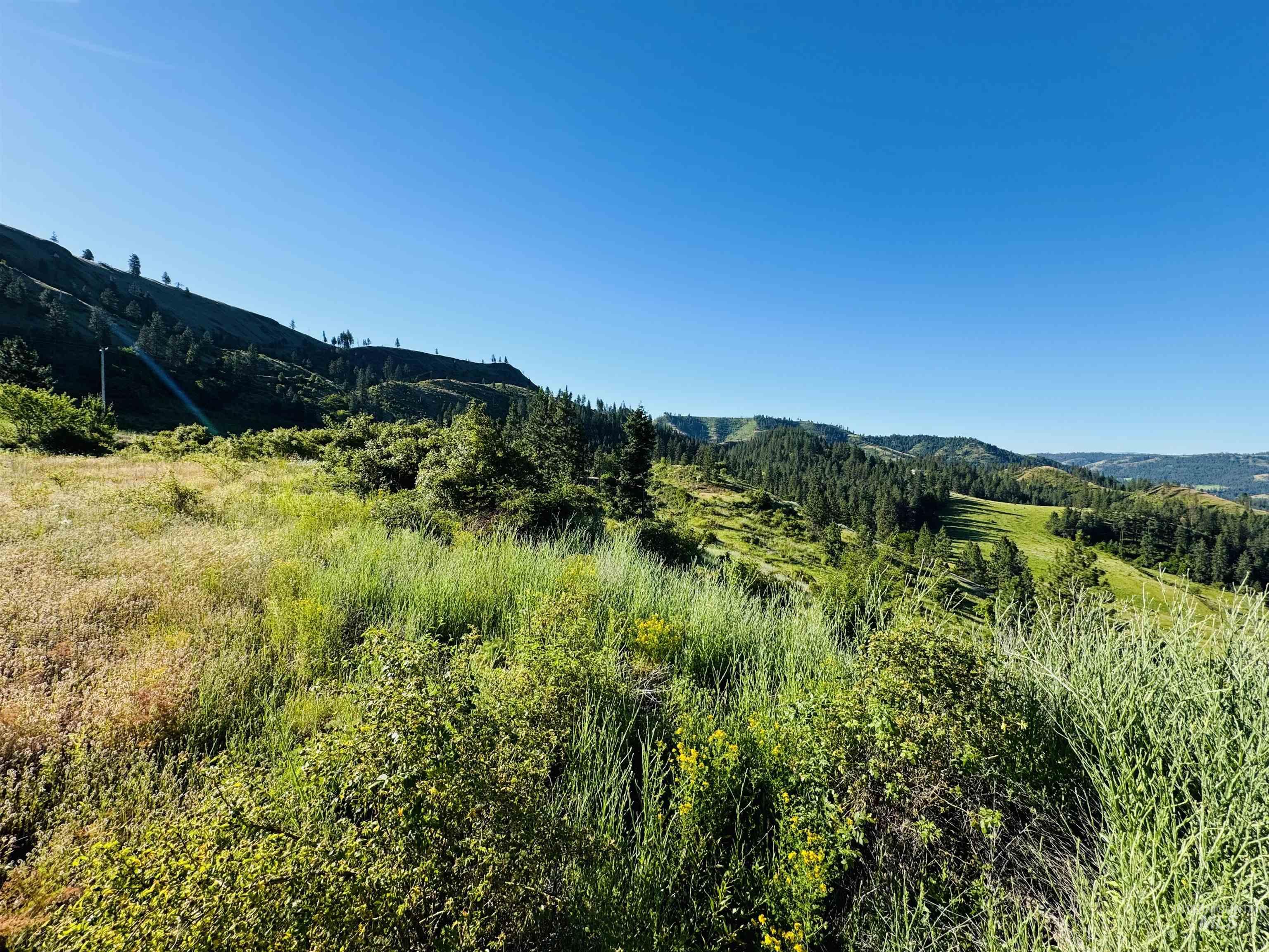 Tbd Lot #4 Beaverslide Rd Property Photo 16
