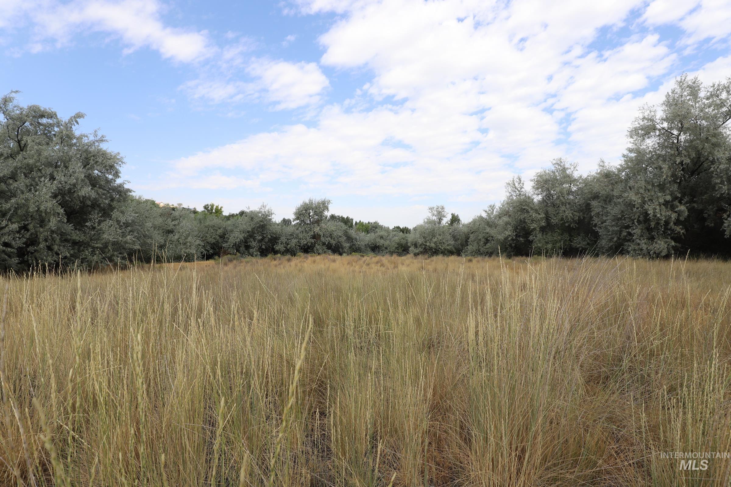 Tbd Hidden Lake Lane Property Photo 4