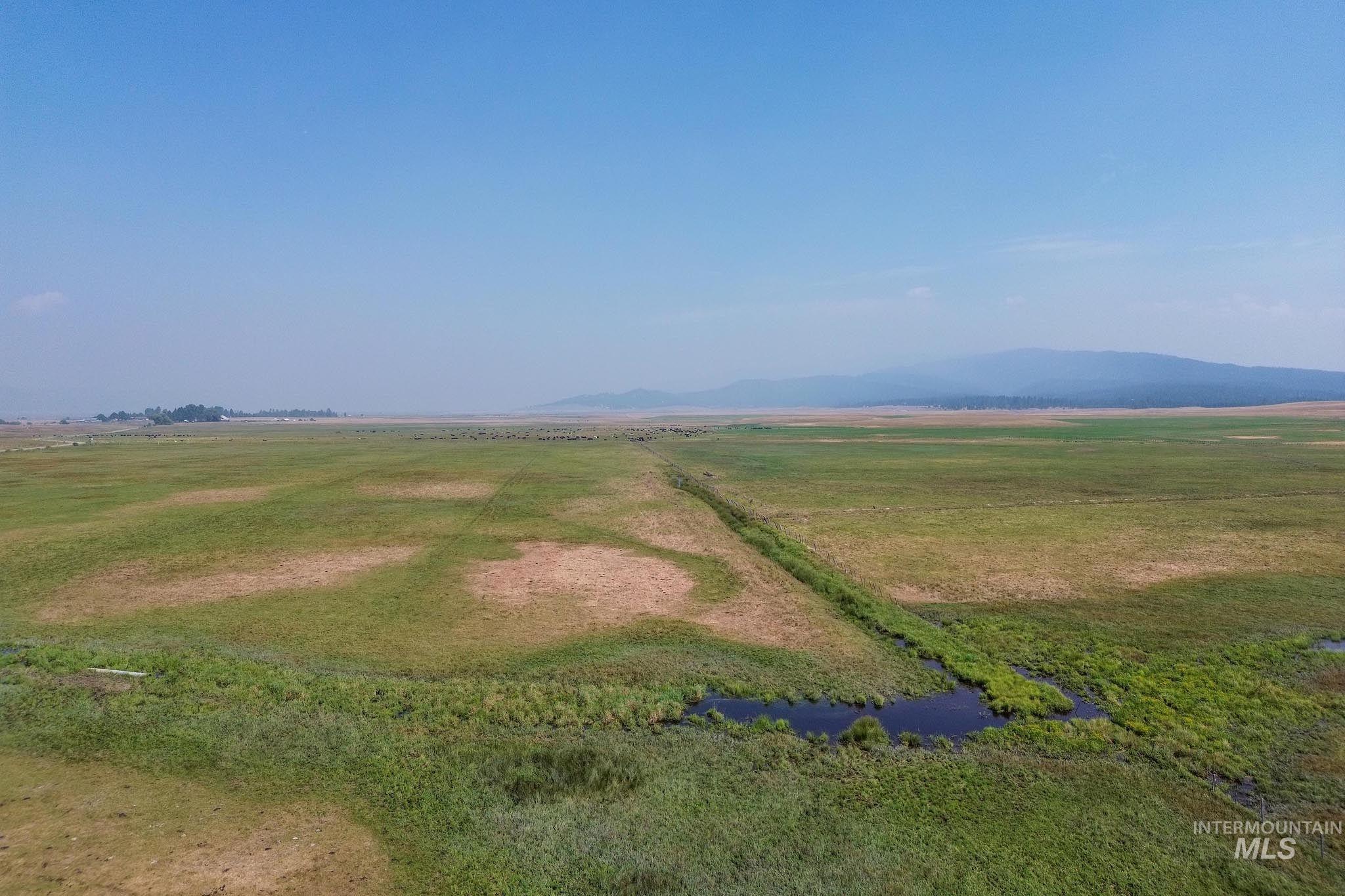 000 Highway 55 Property Photo 6
