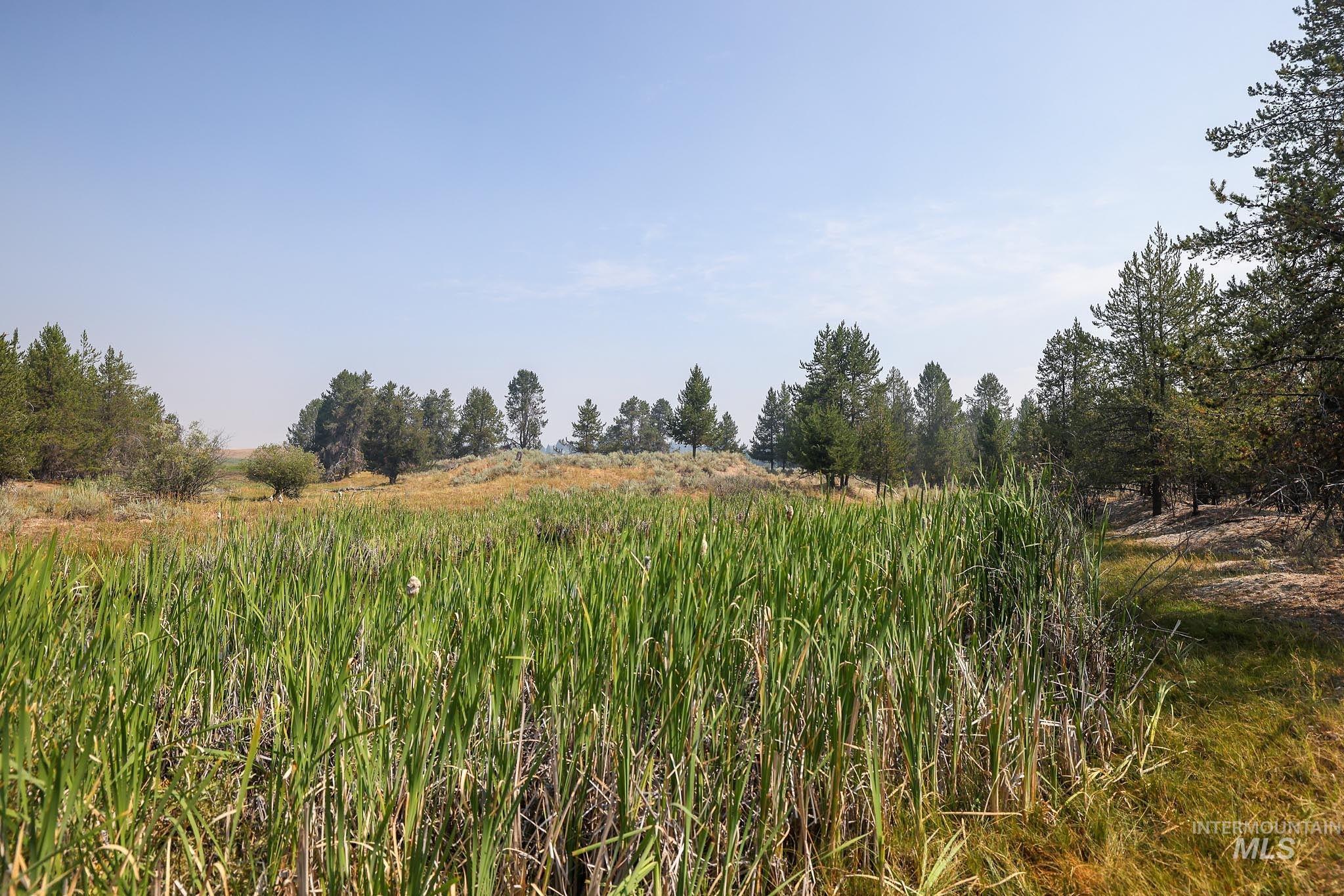 000 Highway 55 Property Photo 18