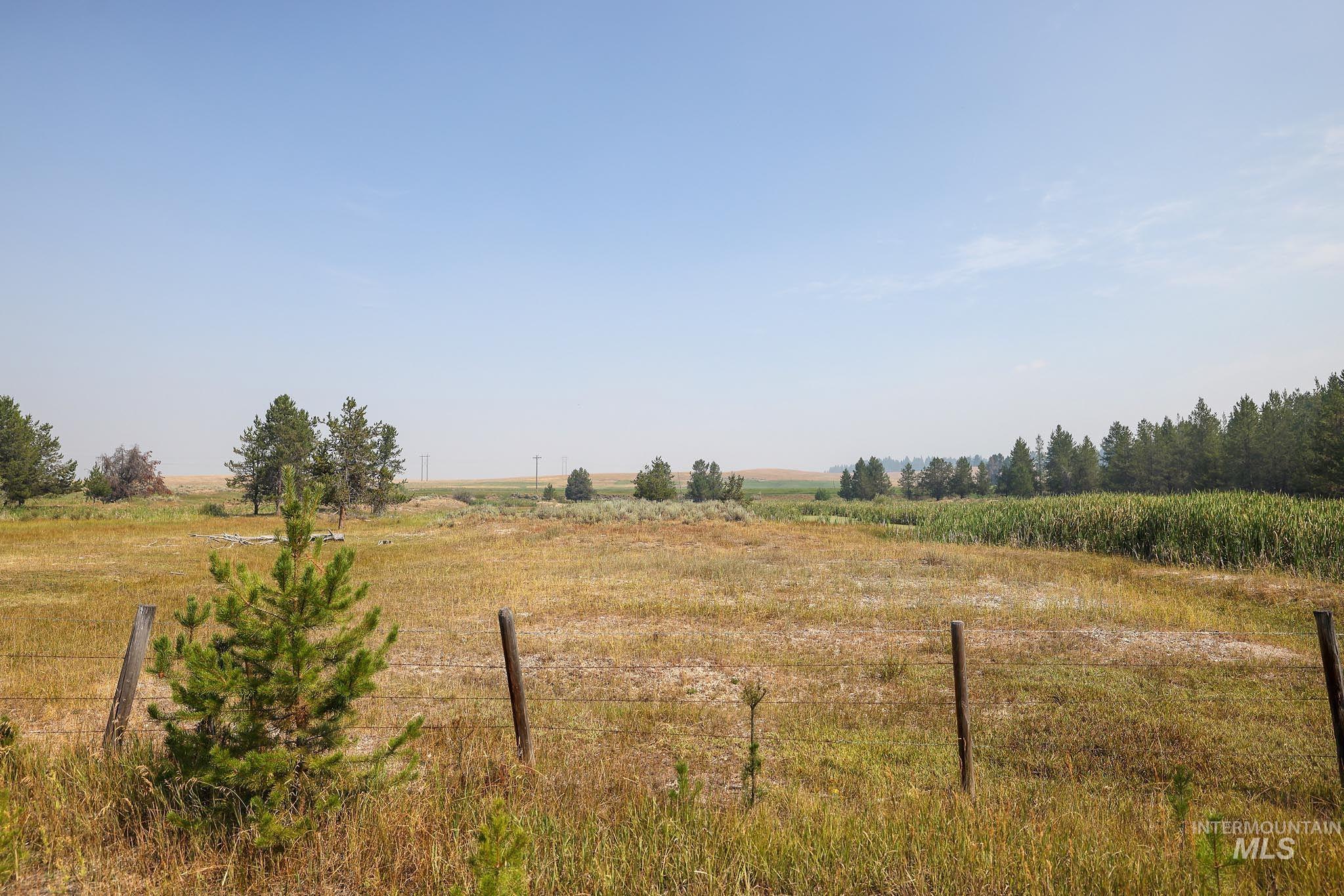 000 Highway 55 Property Photo 20
