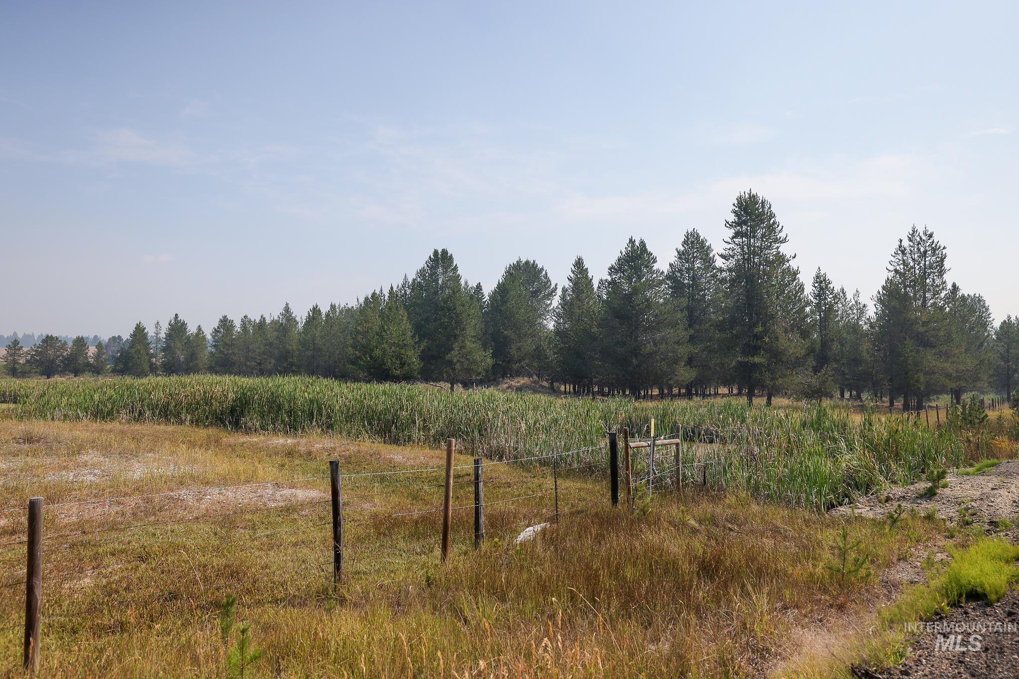 000 Highway 55 Property Photo 21