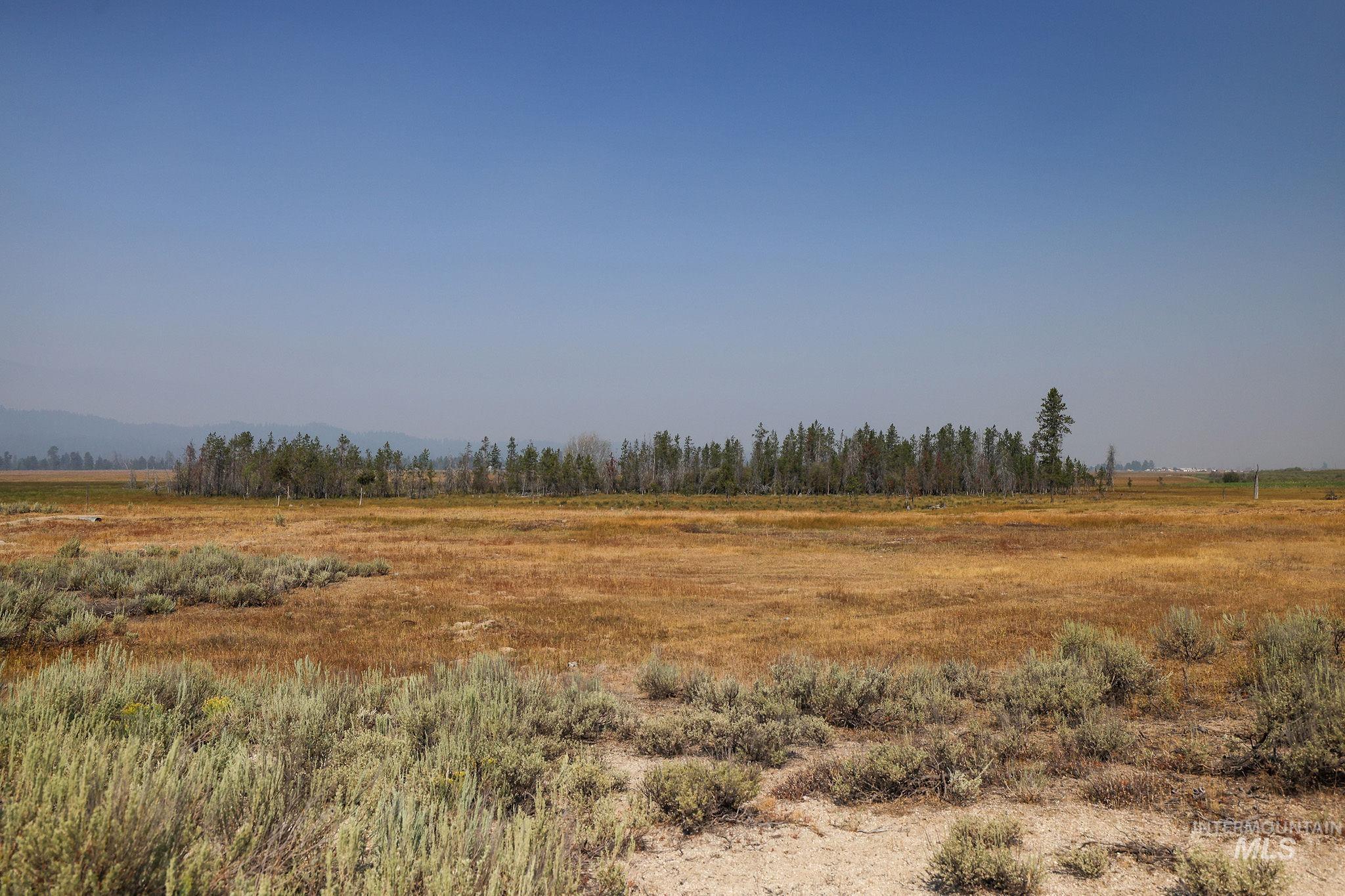 000 Highway 55 Property Photo 36