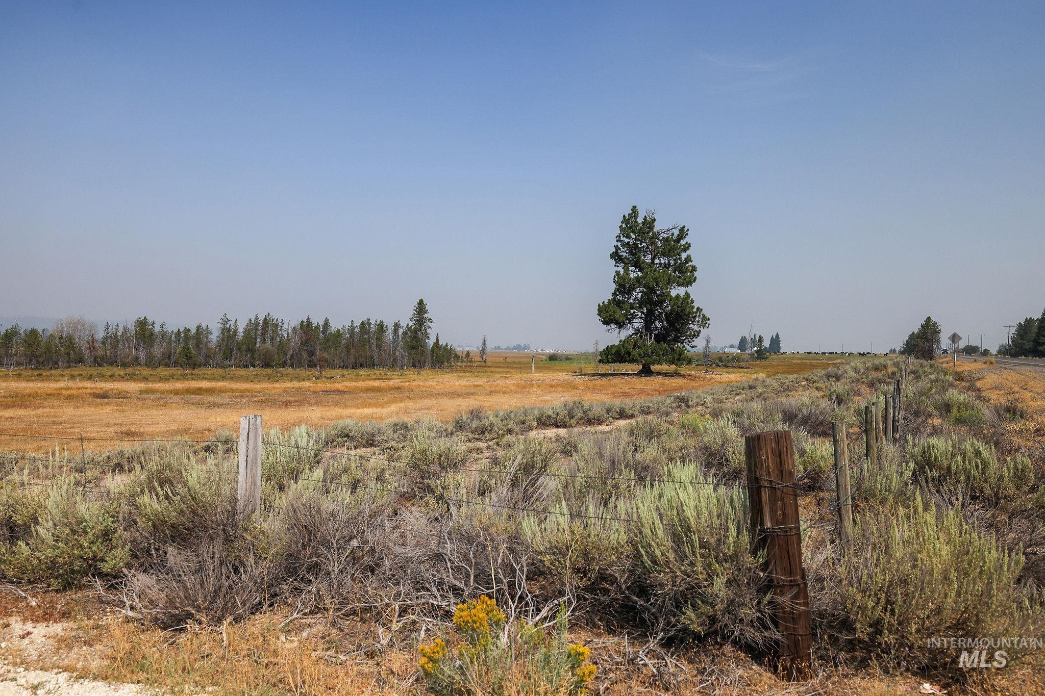 000 Highway 55 Property Photo 37
