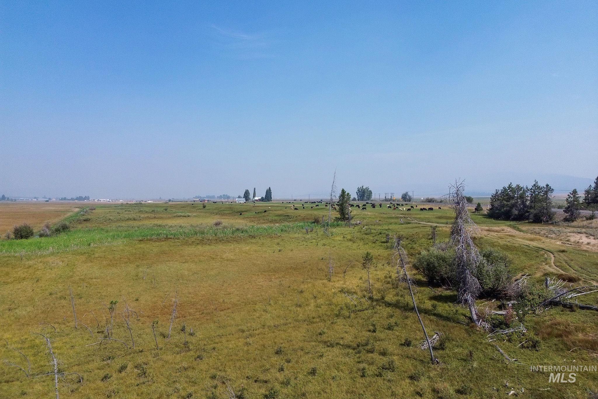 000 Highway 55 Property Photo 38