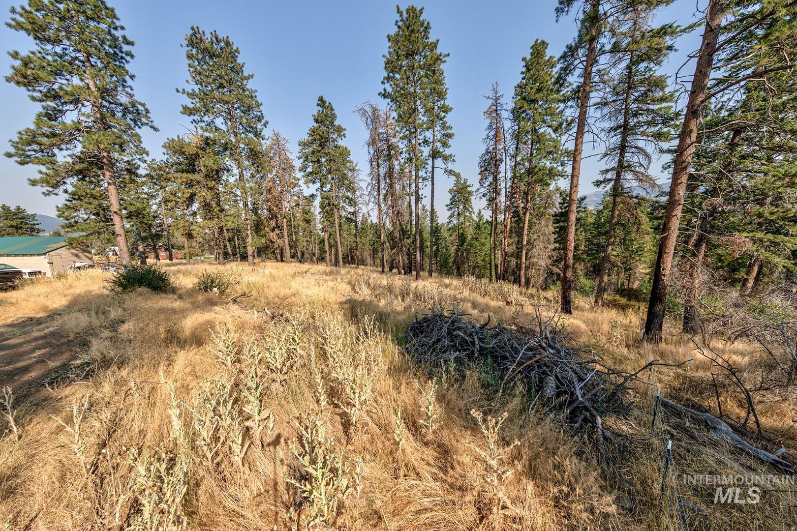 2093 Seid Creek Rd Property Photo 34