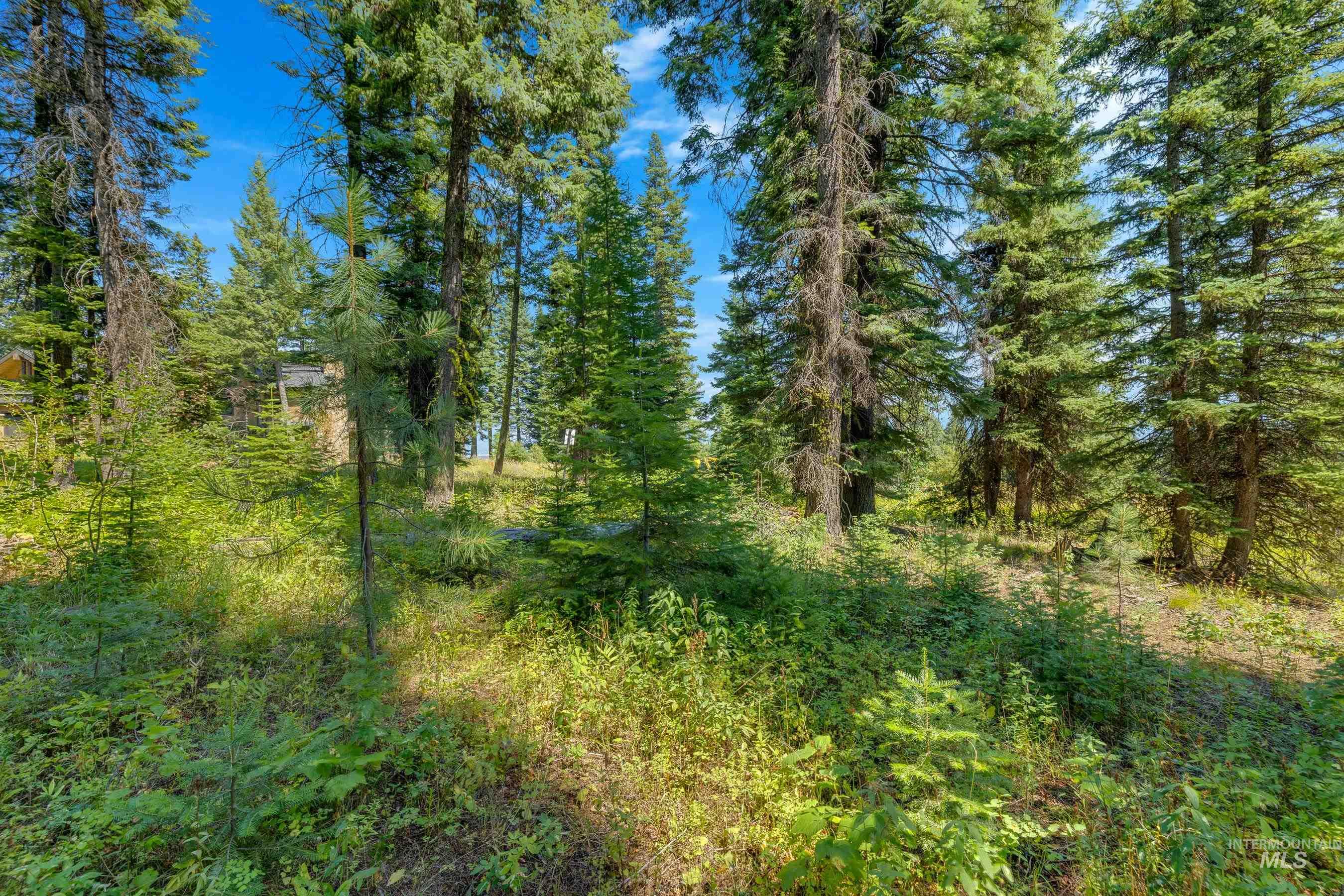 231 Sugarloaf Place Property Photo 11