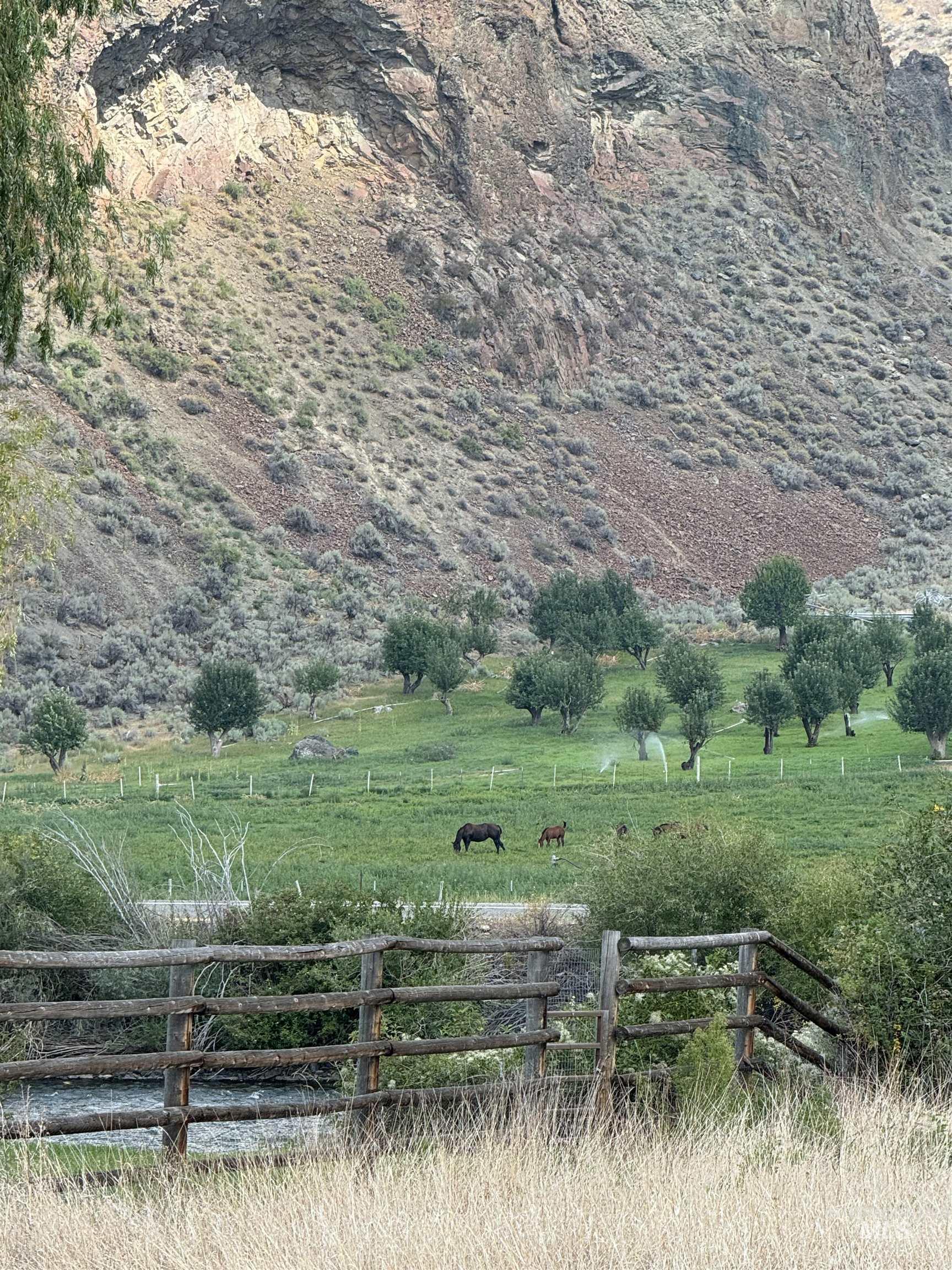 Salmon River Meadows Lot 61 Property Photo 4