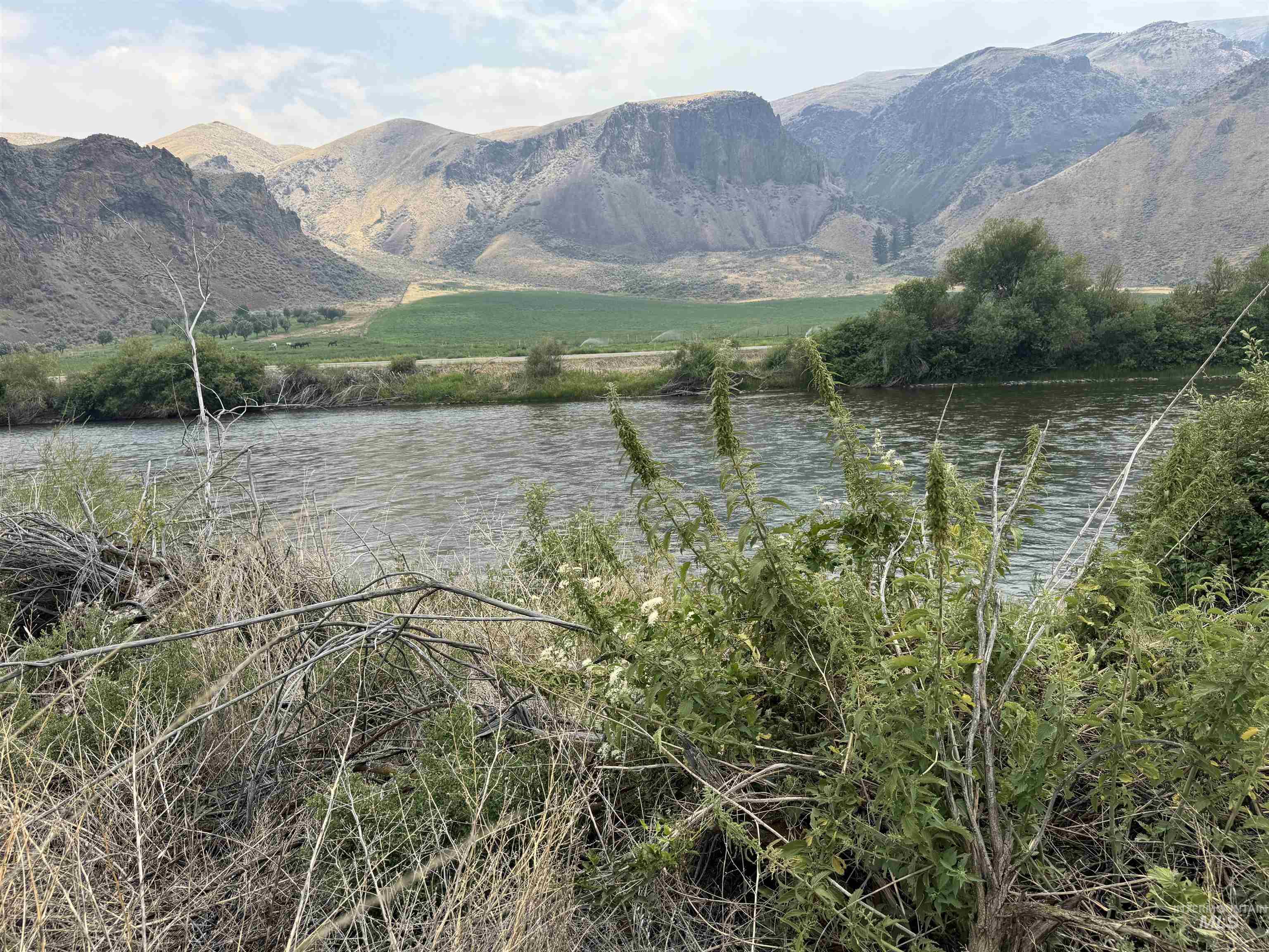 Salmon River Meadows Lot 61 Property Photo 7