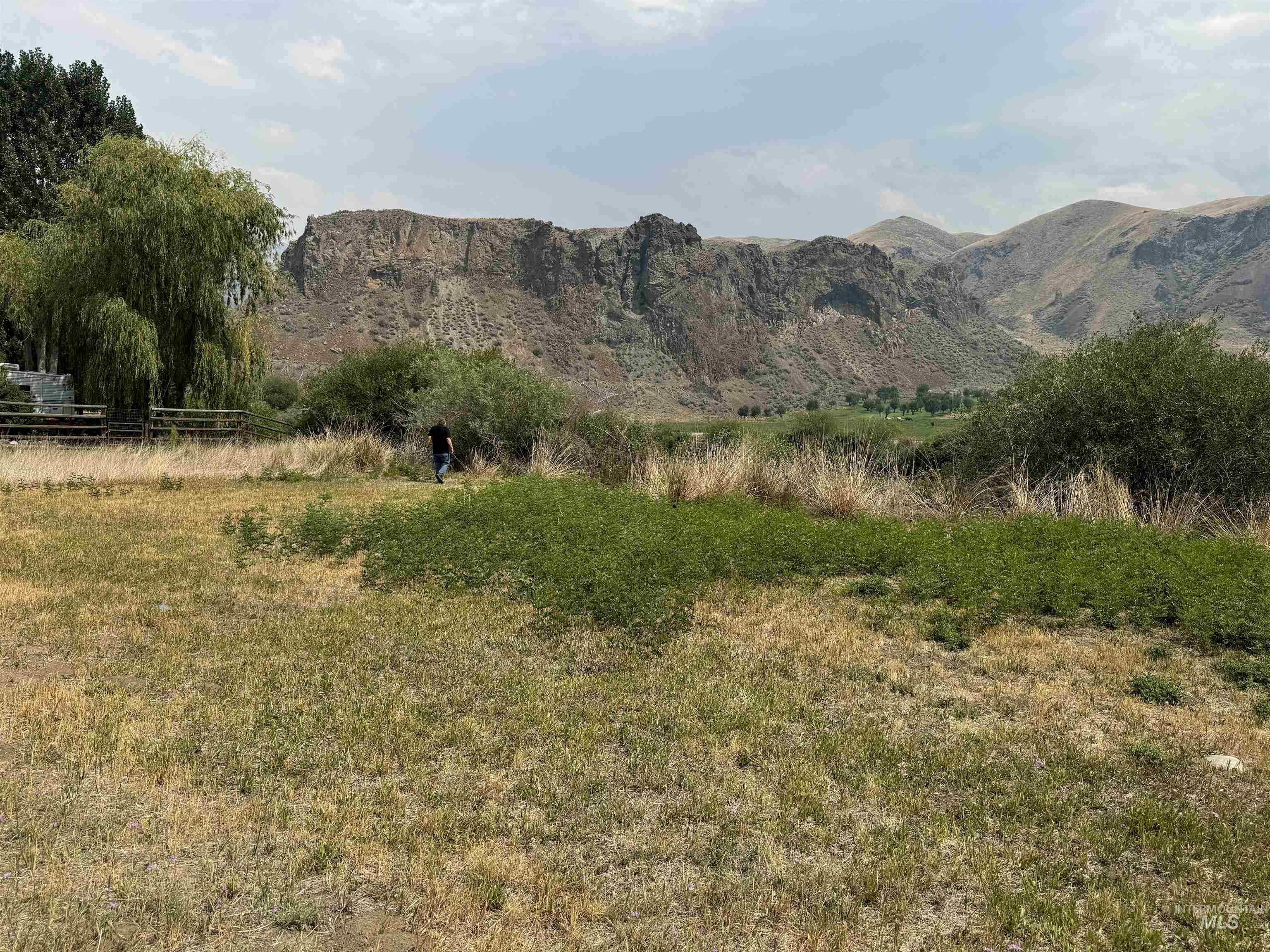 Salmon River Meadows Lot 61 Property Photo 8
