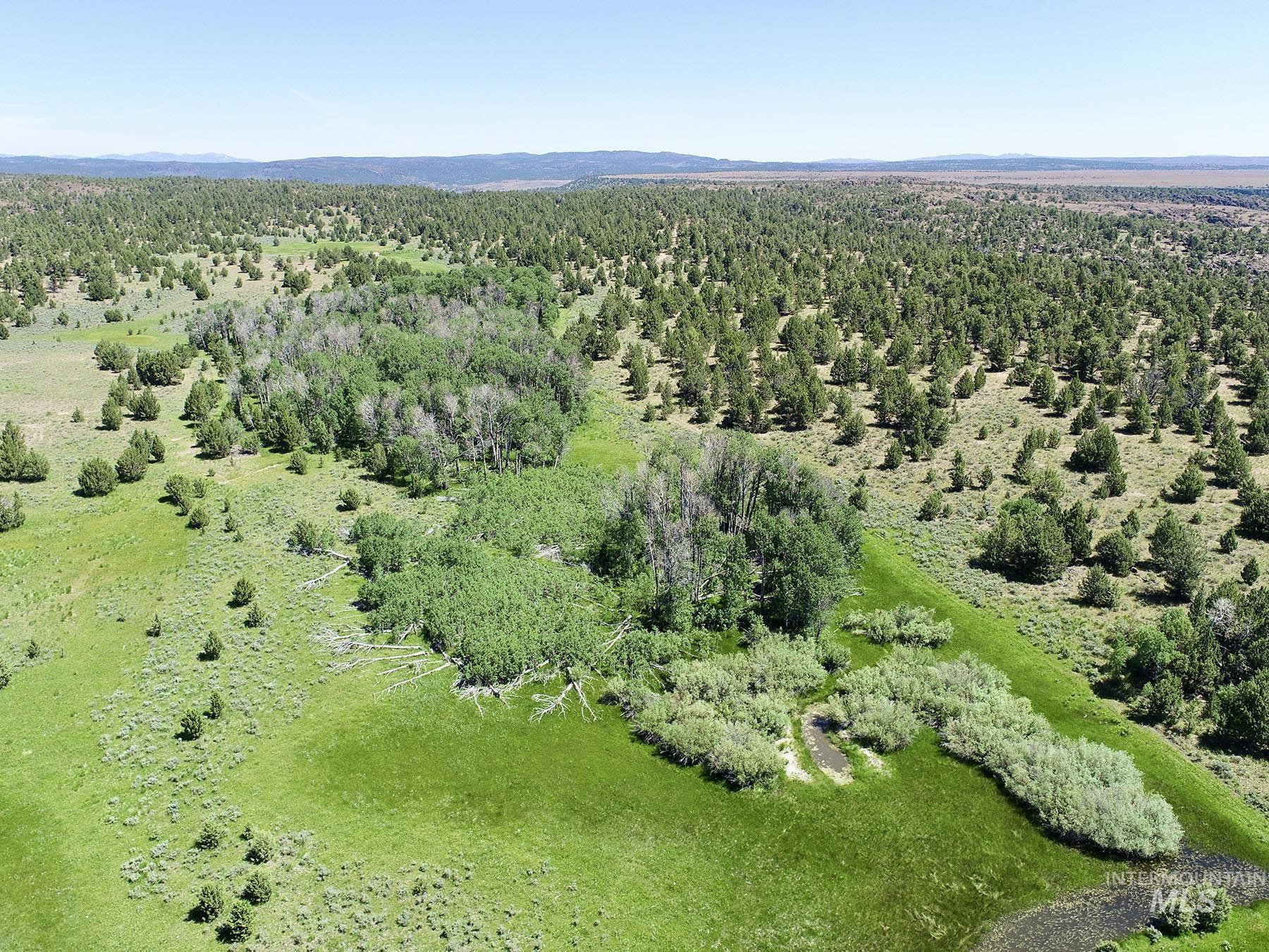 Mud Flat Road Property Photo 4