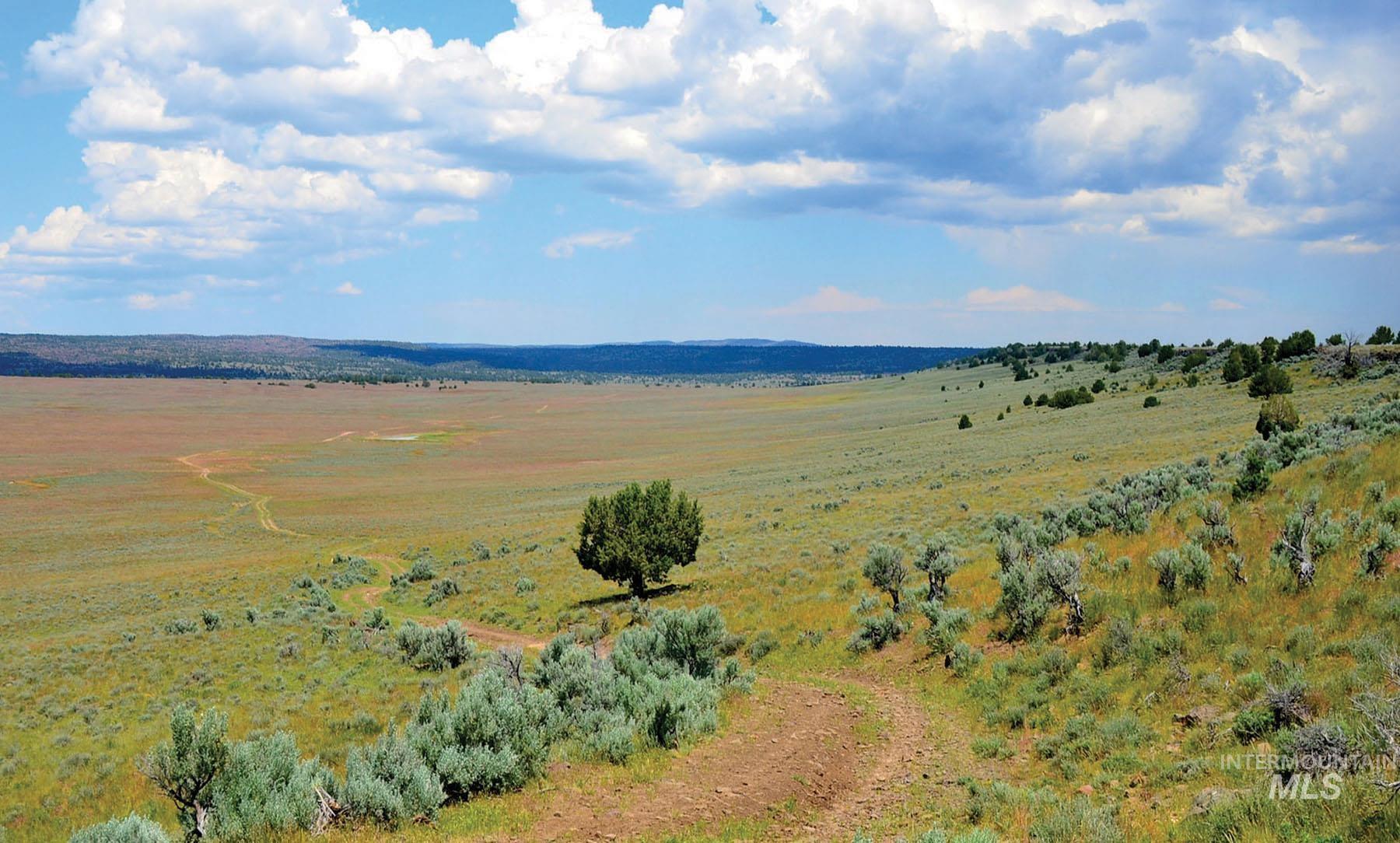 Mud Flat Road Property Photo 10
