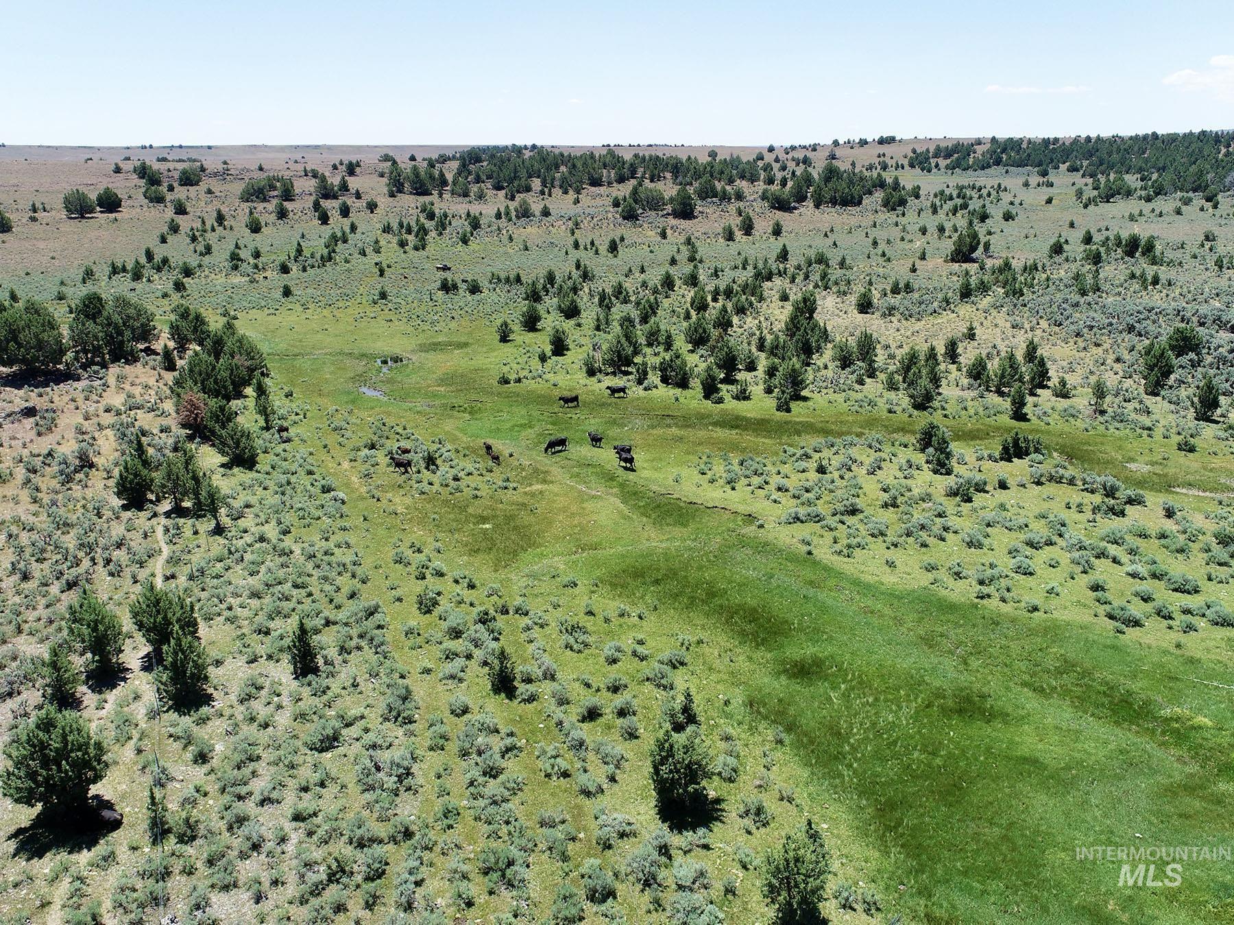 Mud Flat Road Property Photo 15