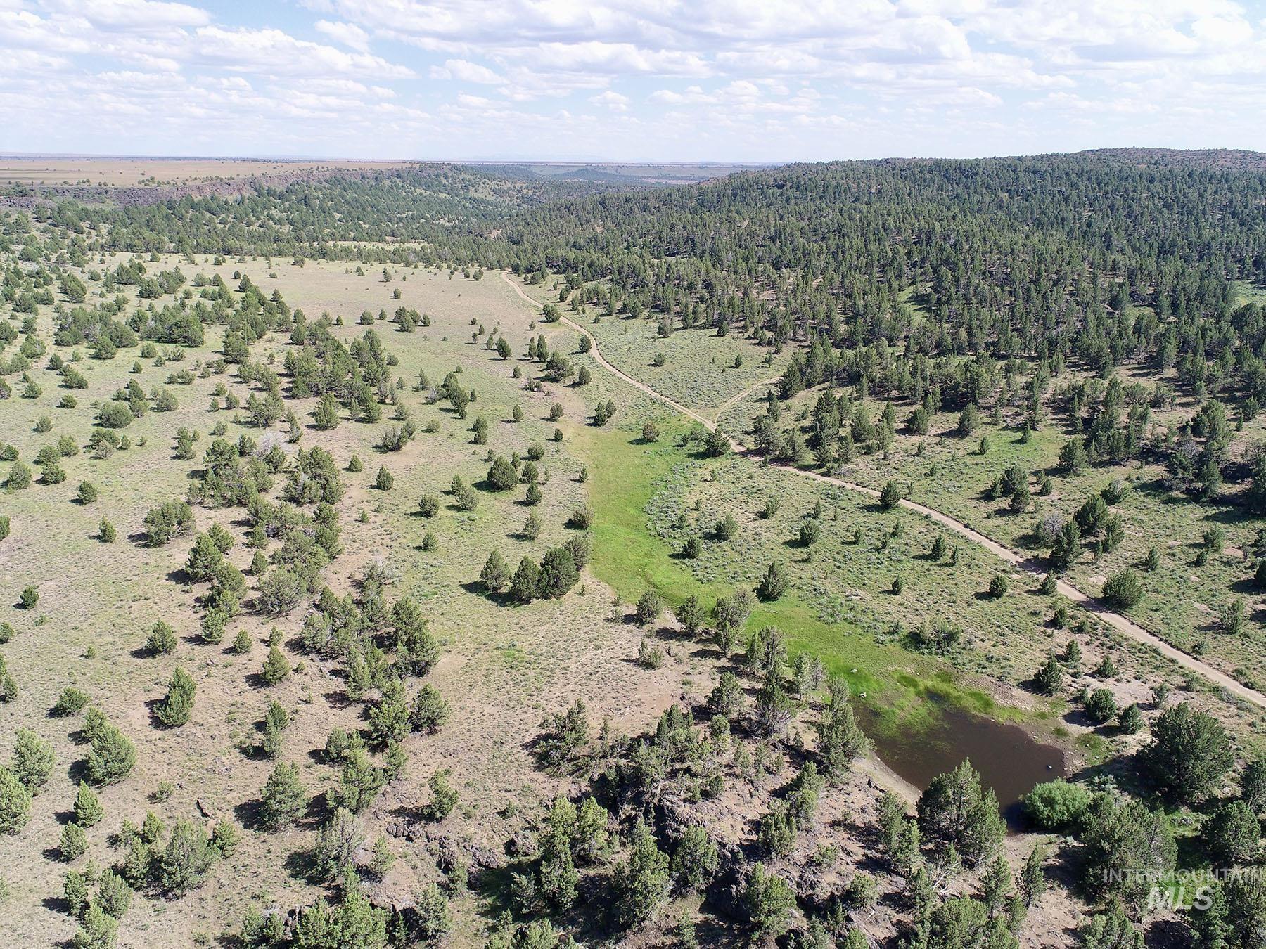Mud Flat Road Property Photo 19