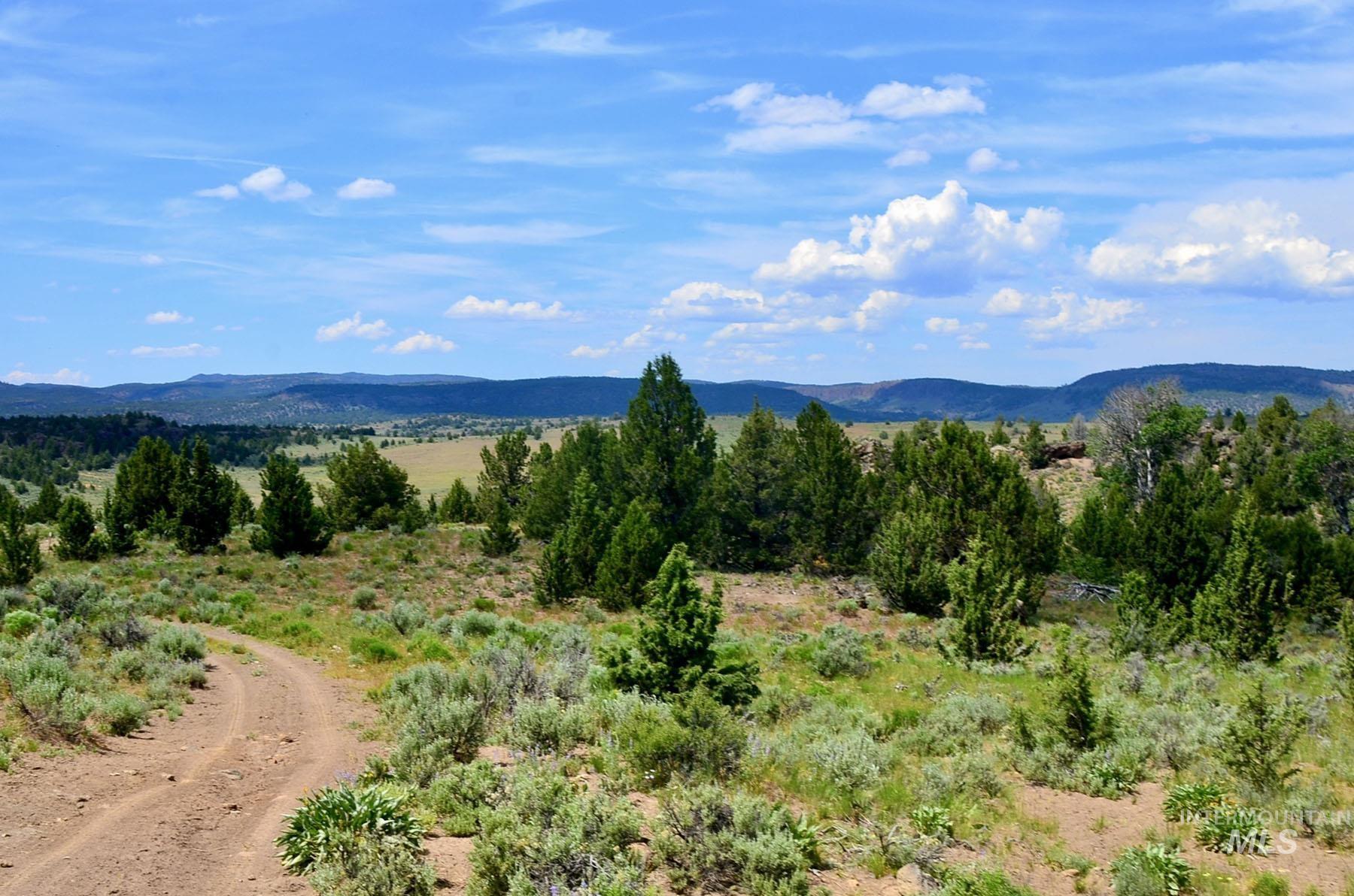 Mud Flat Road Property Photo 31