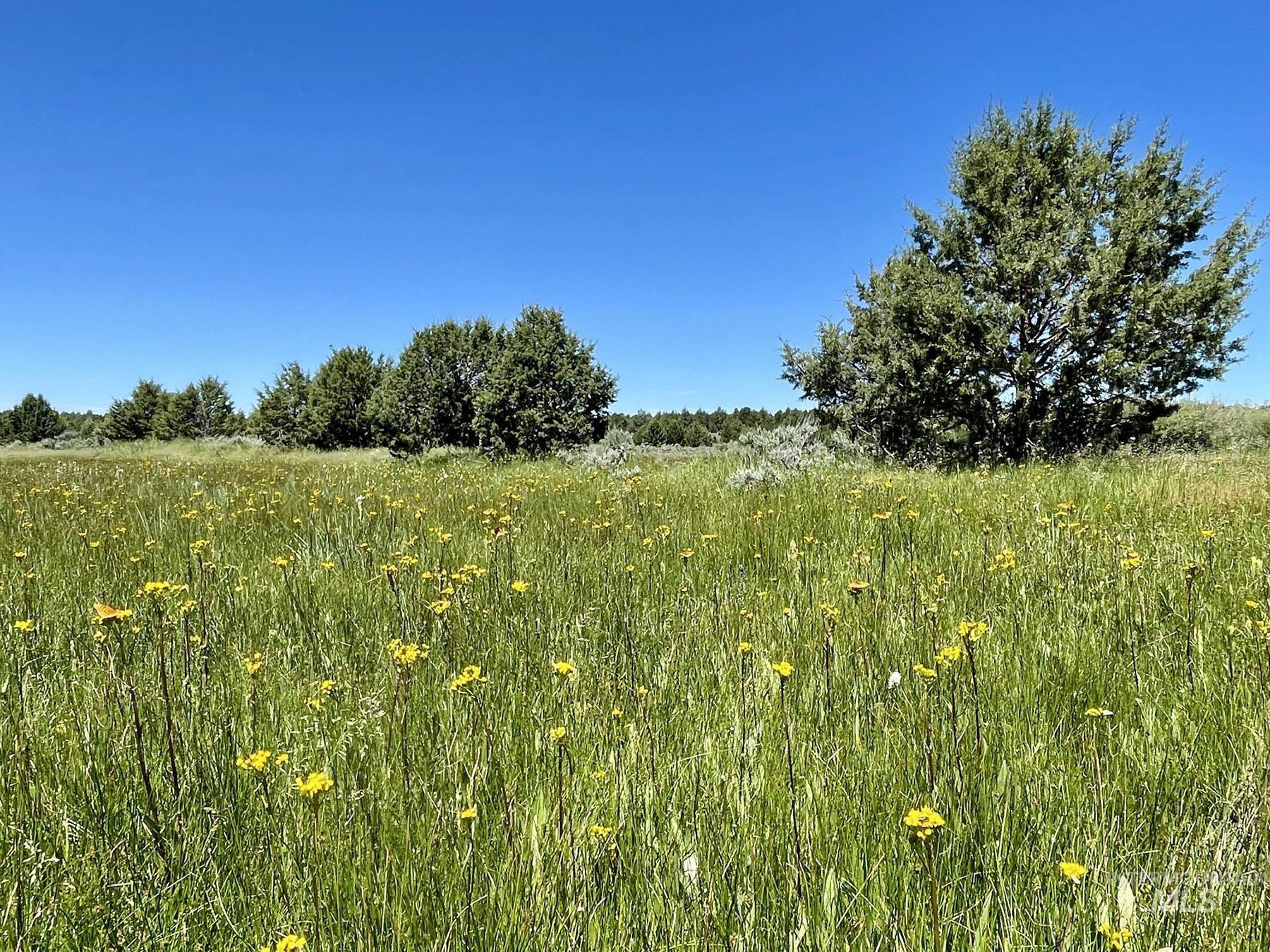 Mud Flat Road Property Photo 32