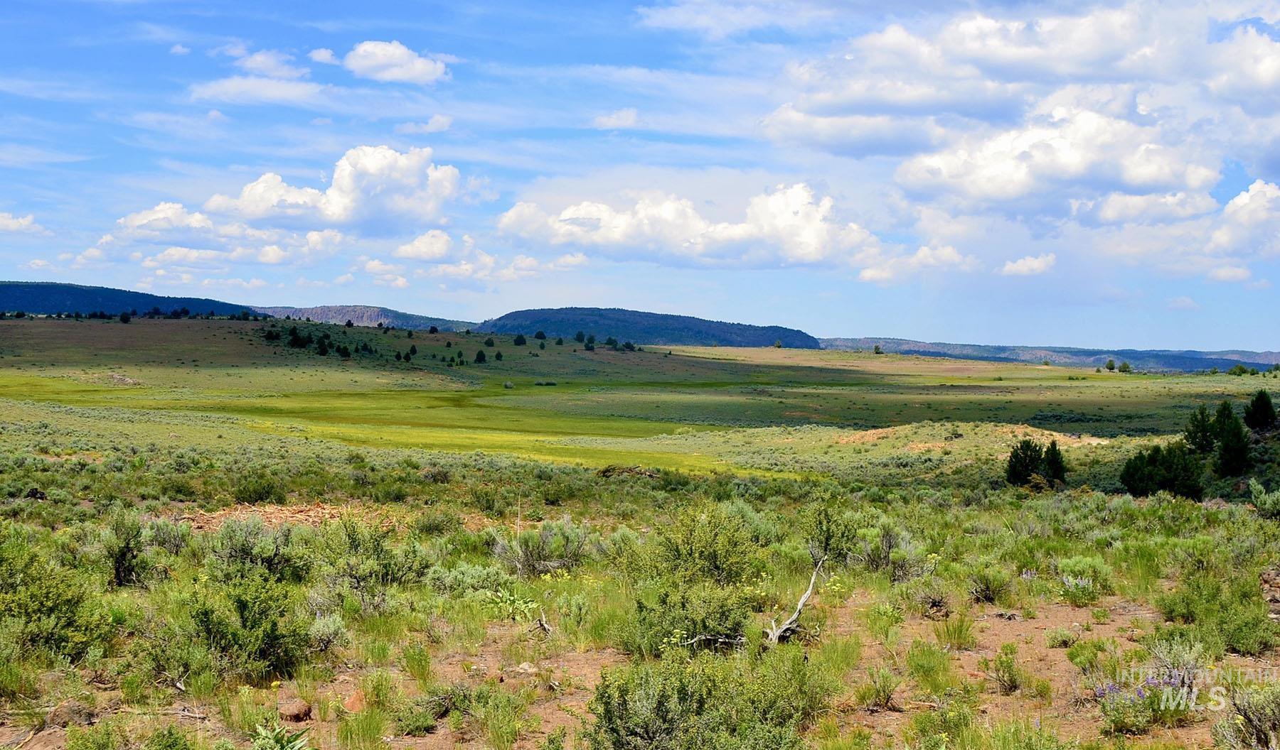 Mud Flat Road Property Photo 33