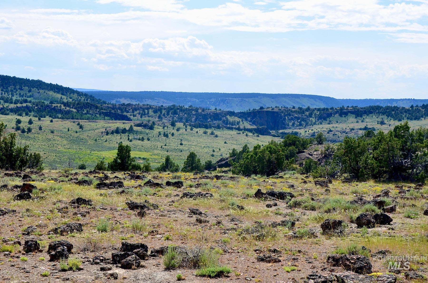 Mud Flat Road Property Photo 36