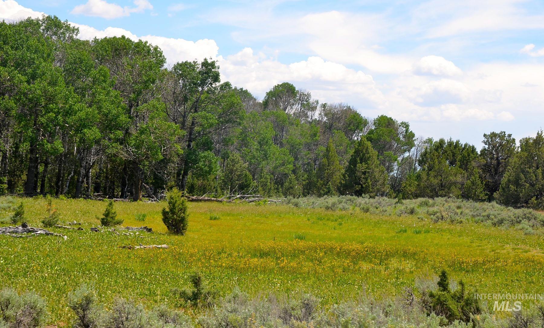 Mud Flat Road Property Photo 42