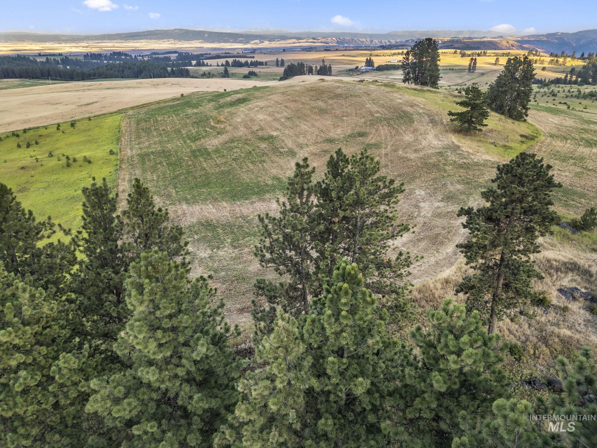 Tbd Keuterville Rd Property Photo 2