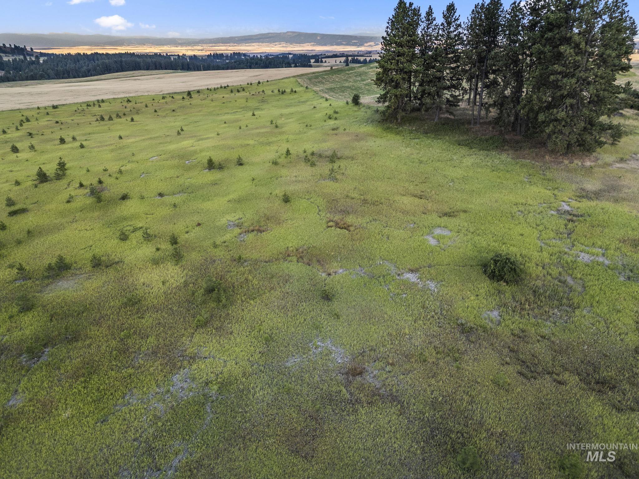 Tbd Keuterville Rd Property Photo 5