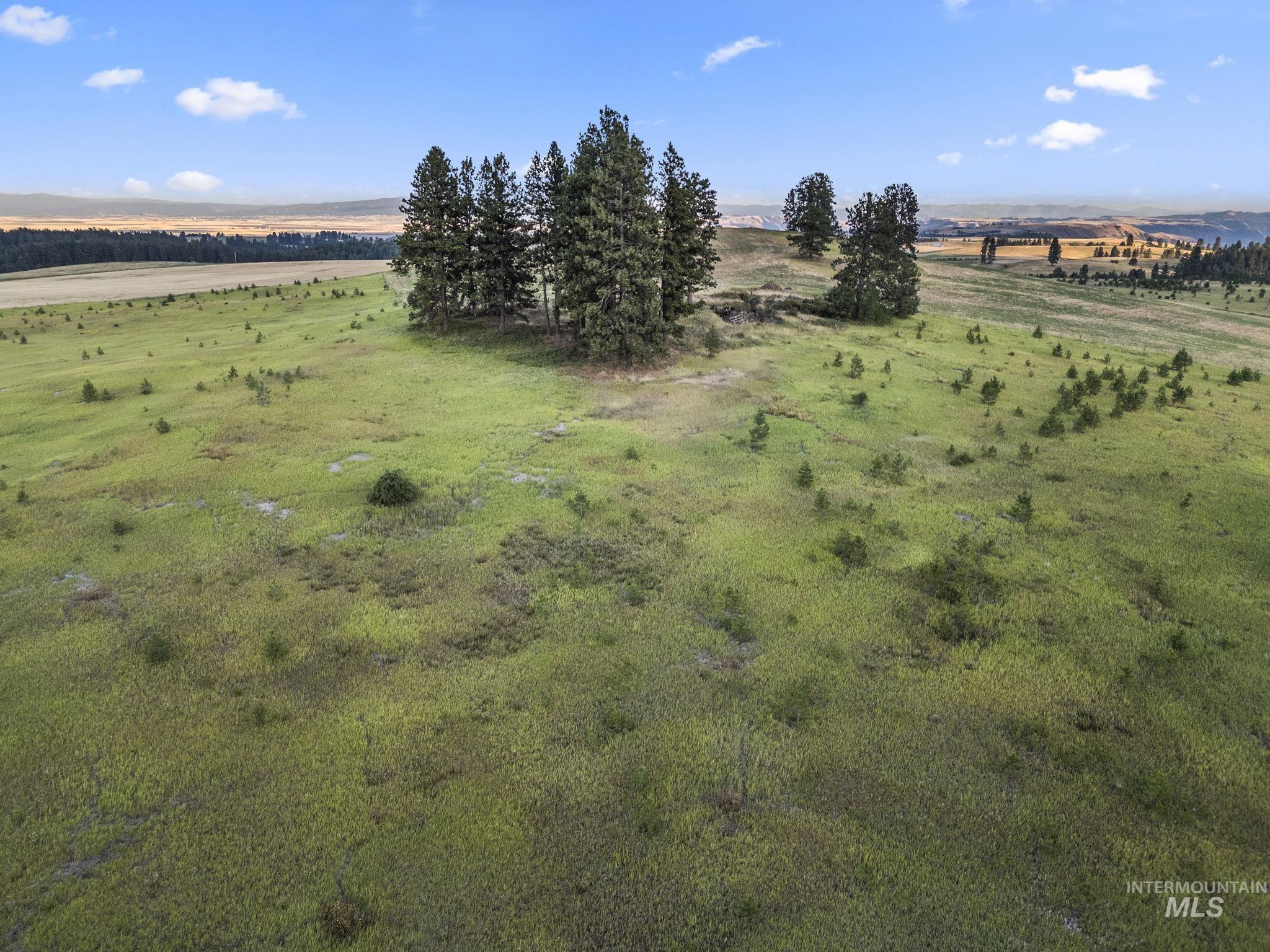 Tbd Keuterville Rd Property Photo 6