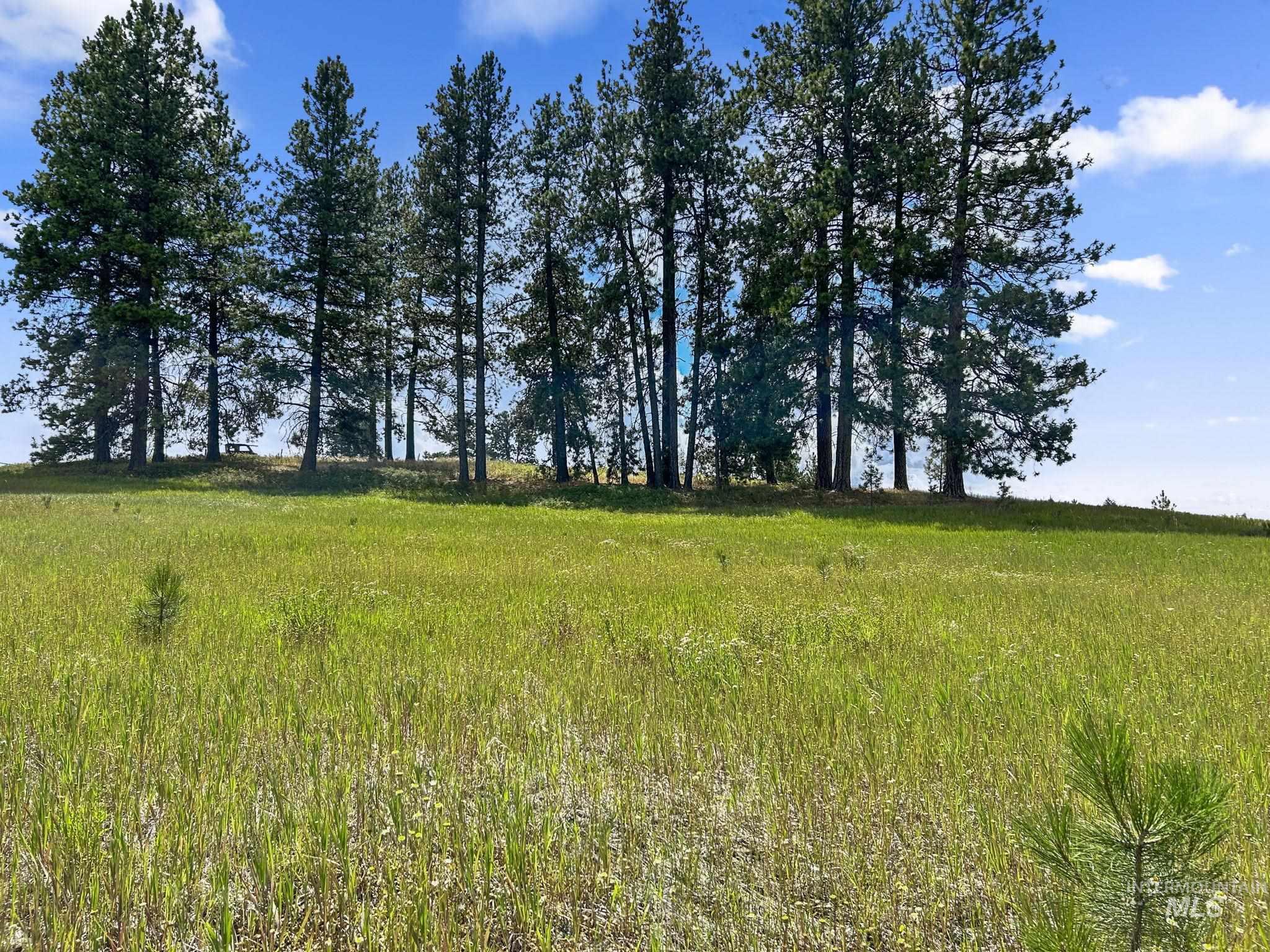 Tbd Keuterville Rd Property Photo 8